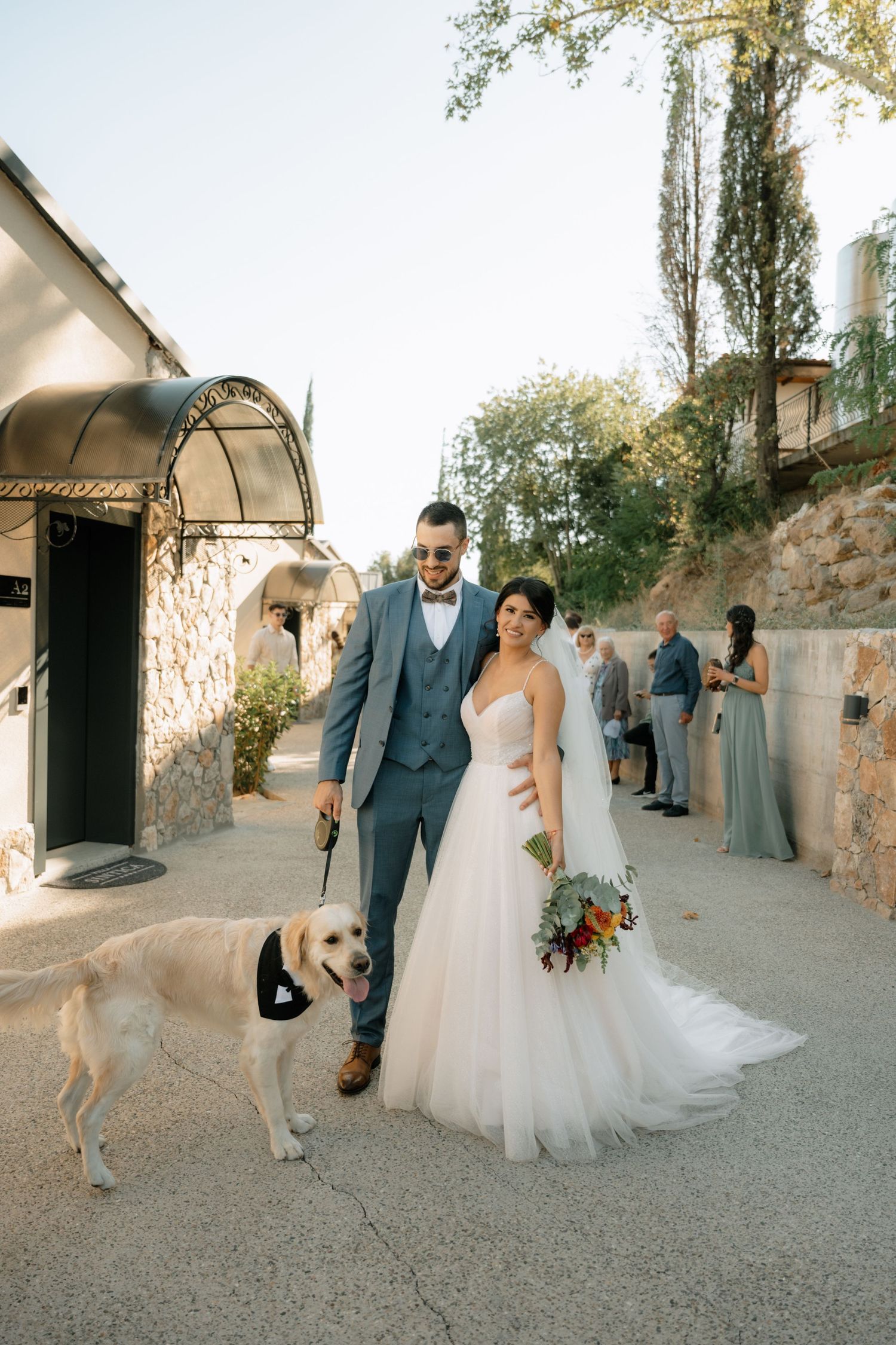 A couple in wedding attire walks along a stone wall path with their dog at sunset.