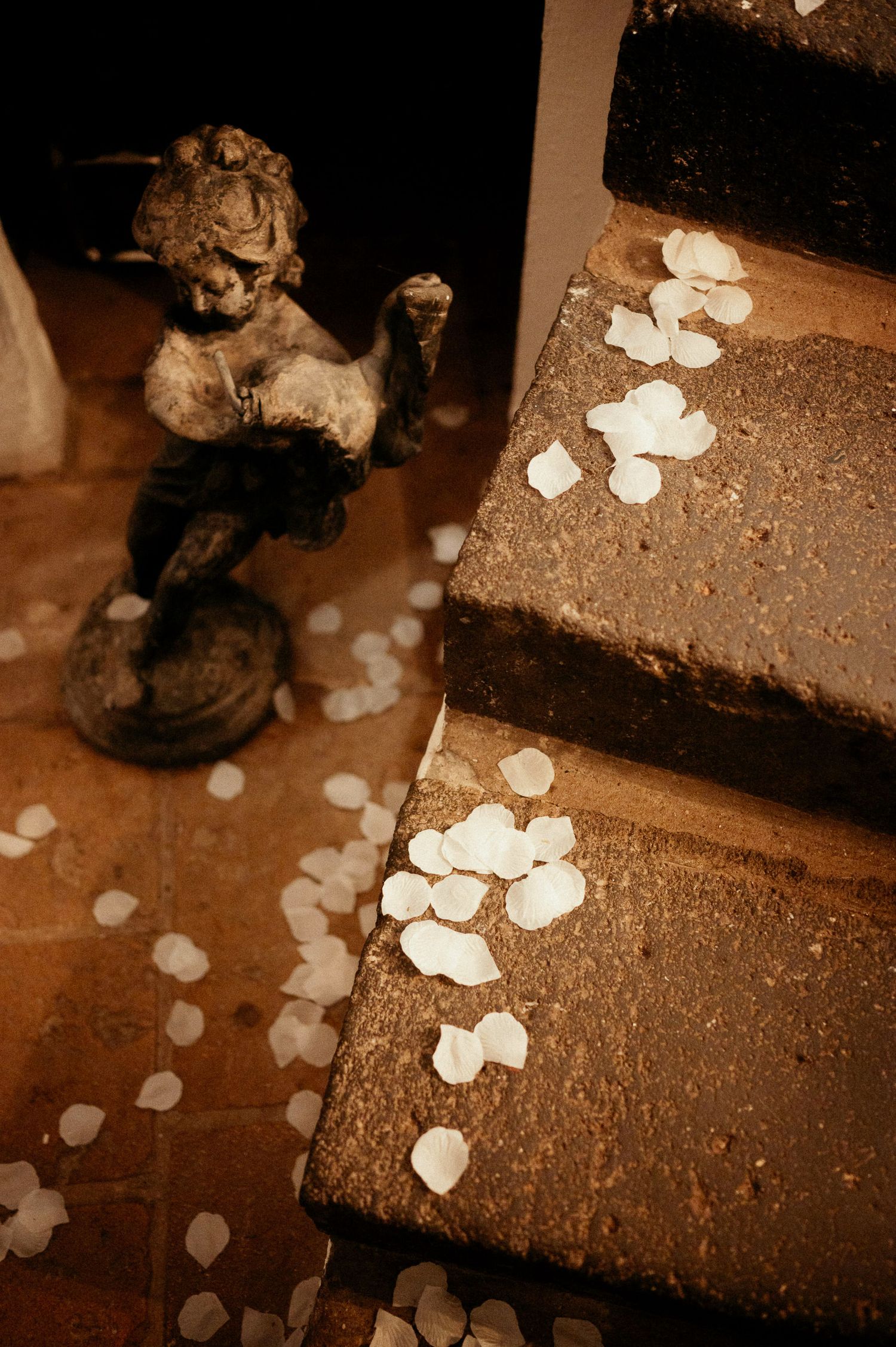 Rose petals scattered on rustic stone steps in warm sepia tones.