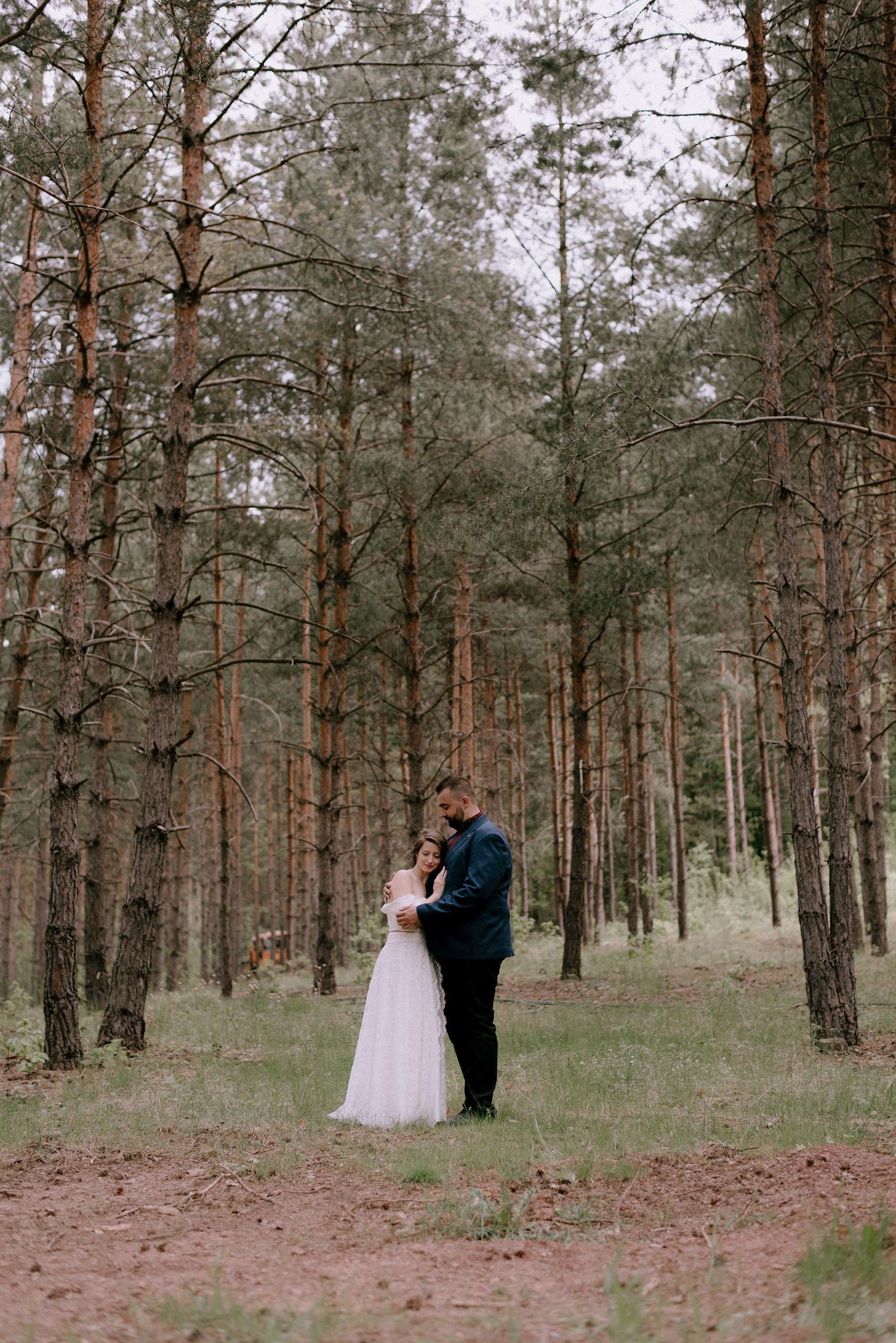 A couple shares an intimate moment in a pine forest setting.