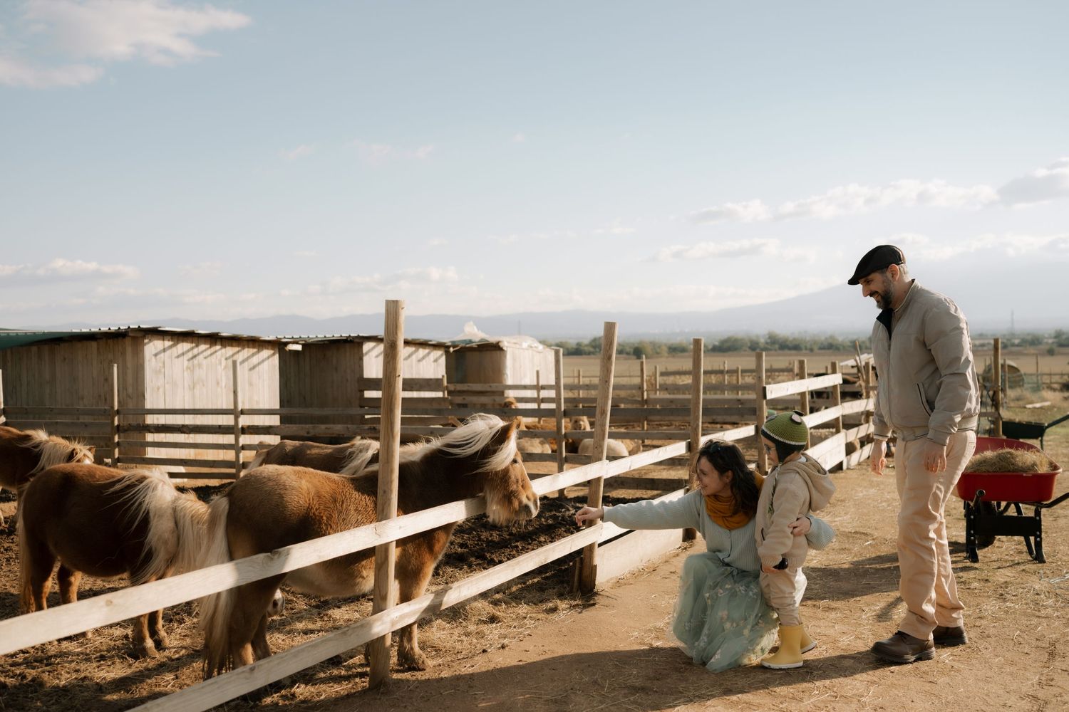 Panoramic view of cattle in wooden pens on a ranch with mountains in the background under cloudy skies.