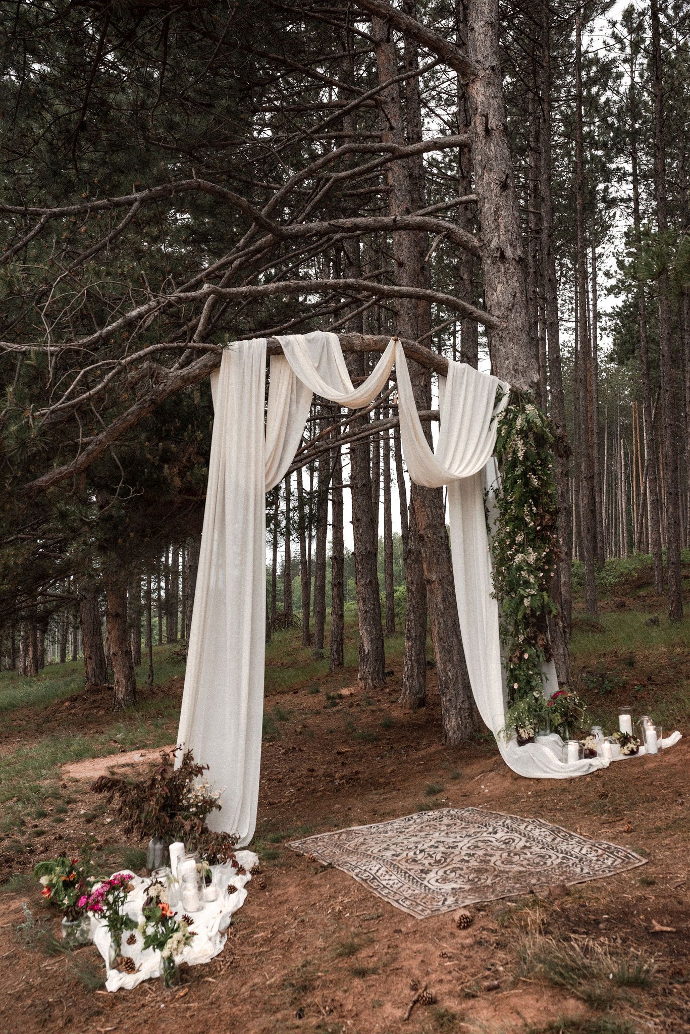 White fabric drapes create a romantic woodland wedding ceremony backdrop among tall pine trees in a forest setting.