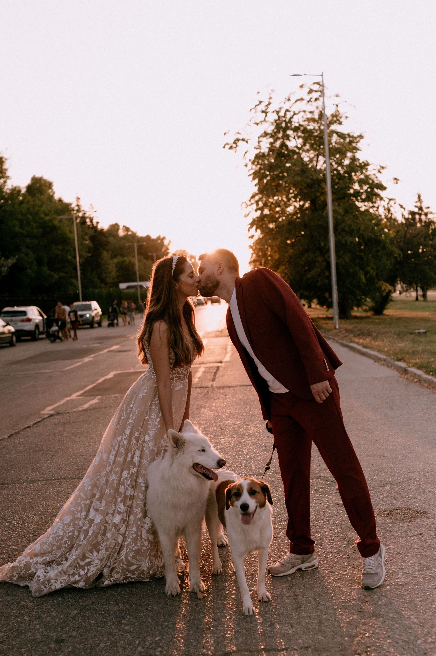 Dogs stand with their owners on a street illuminated by warm sunset light.