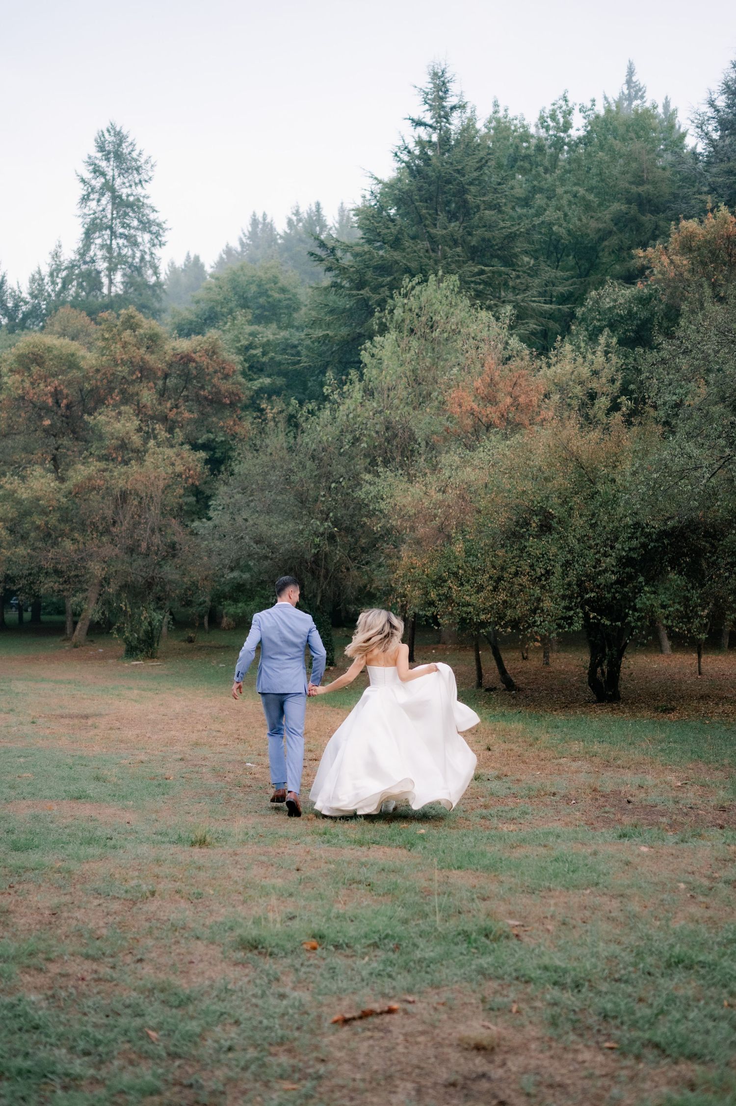 A couple in wedding attire walks through an autumn orchard with evergreen trees in the background.