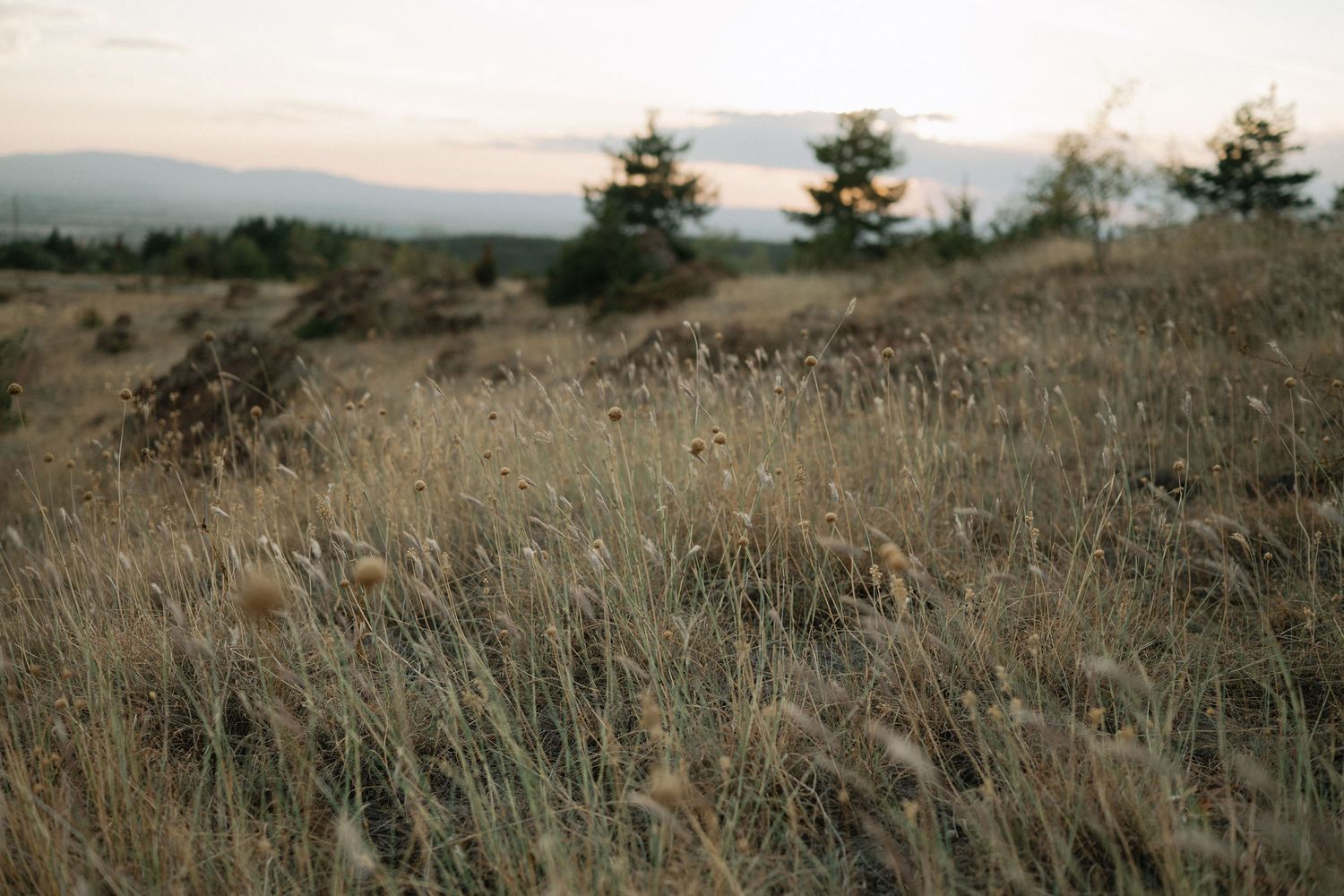 A panoramic view of dried grass fields and rolling hills stretches across a serene autumn landscape at sunset.