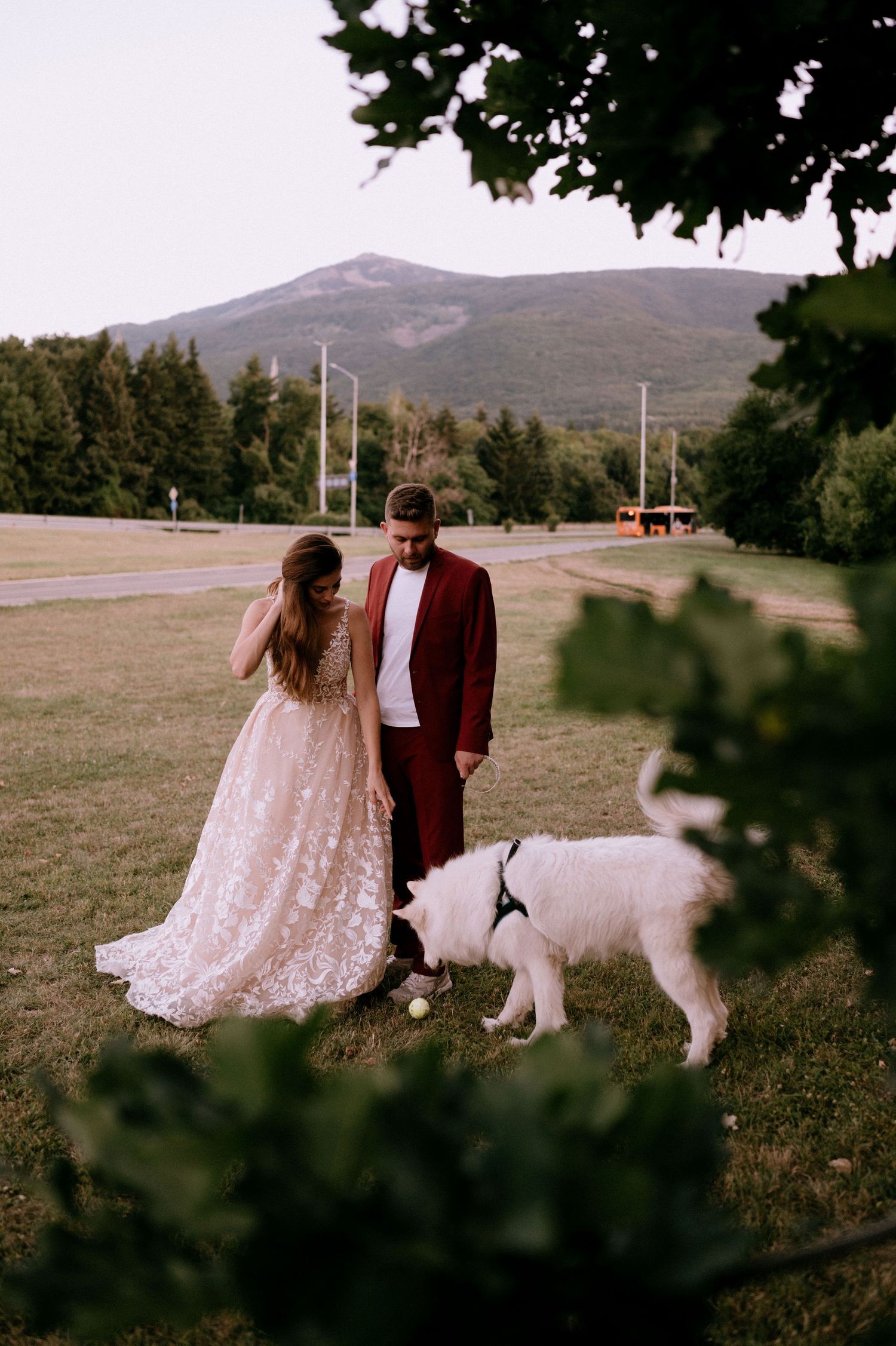 Couple in burgundy suit and lace dress walking with their white dog in a mountain field.