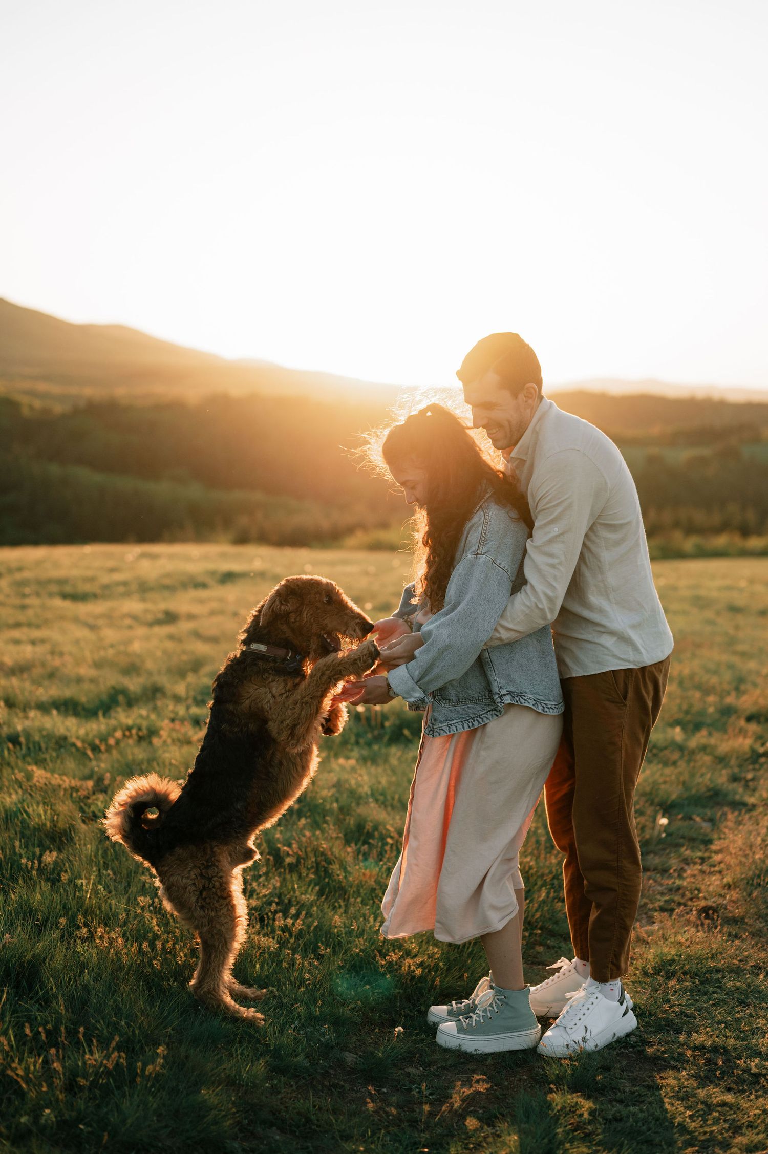 A couple plays with their energetic dog in a golden sunlit field during sunset.