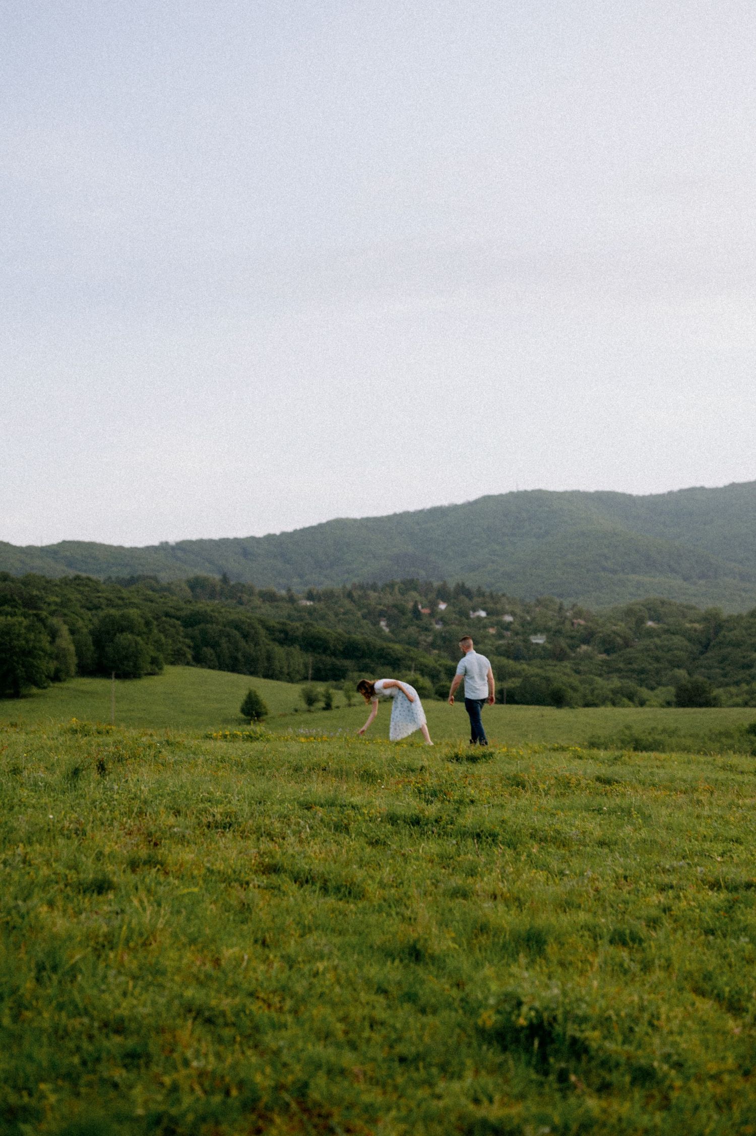 Scenic mountain meadow with figures in the distance against a backdrop of rolling hills.