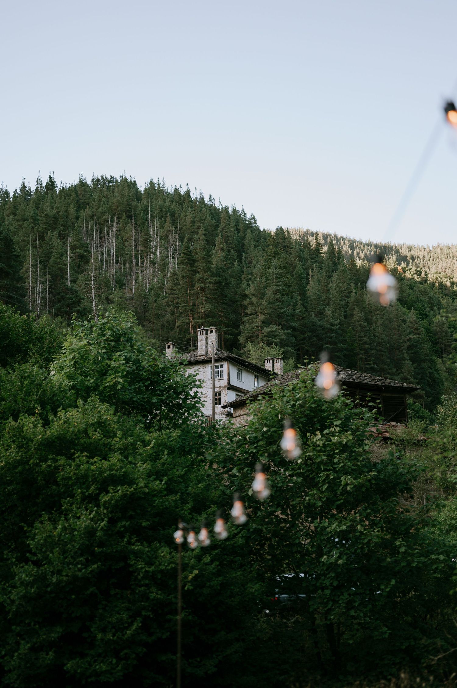 String lights hanging over a mountain house surrounded by dense evergreen forest.