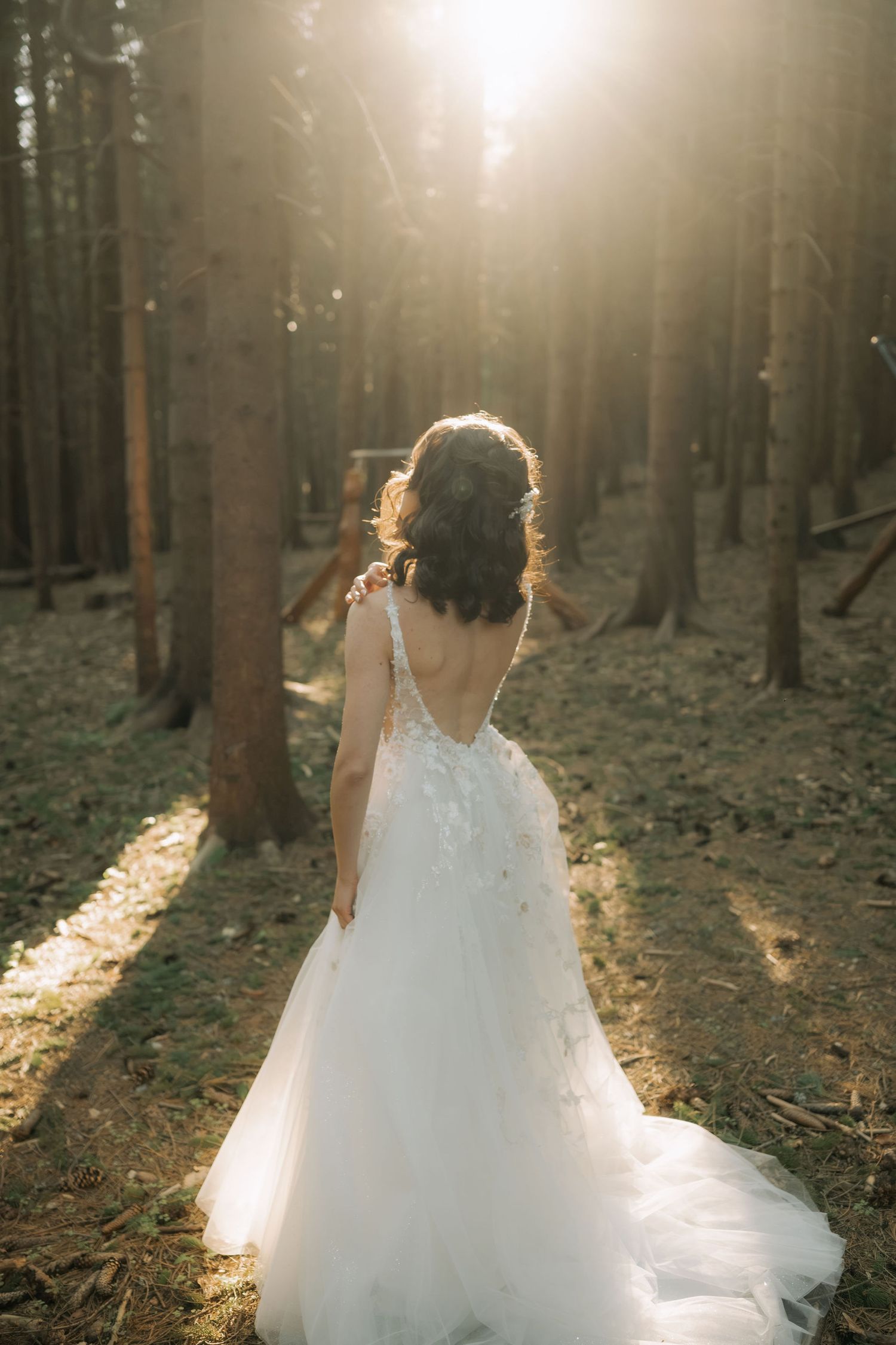 Bride in white lace gown with open back walks through sunlit forest, golden light streaming through tall pine trees.