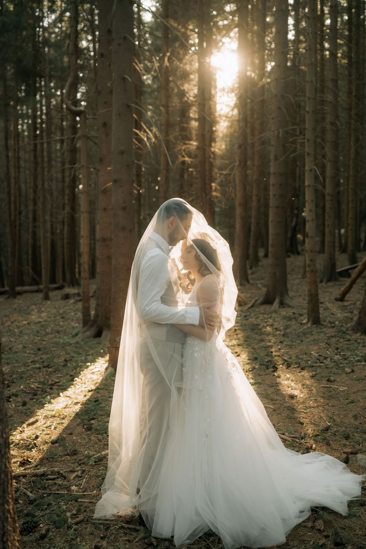 Bride and groom share romantic moment under veil in sunlit forest during golden hour wedding photo.