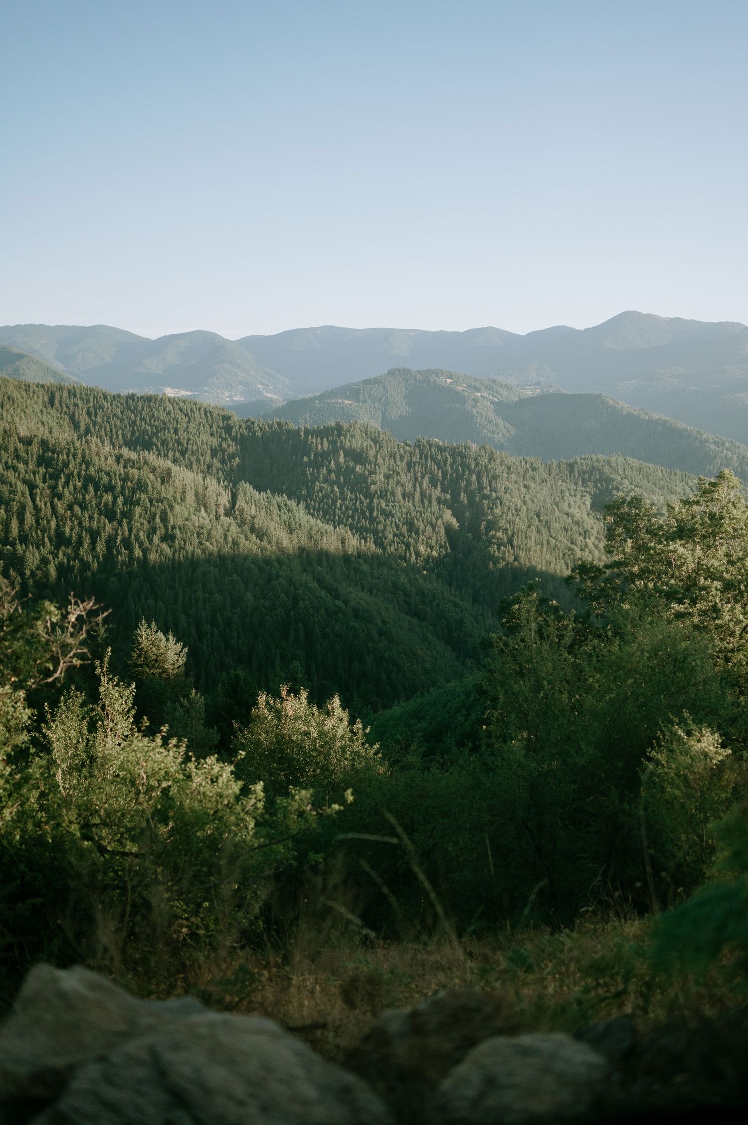 Mountain landscape with forested hills and peaks stretching into the distance under a hazy sky.