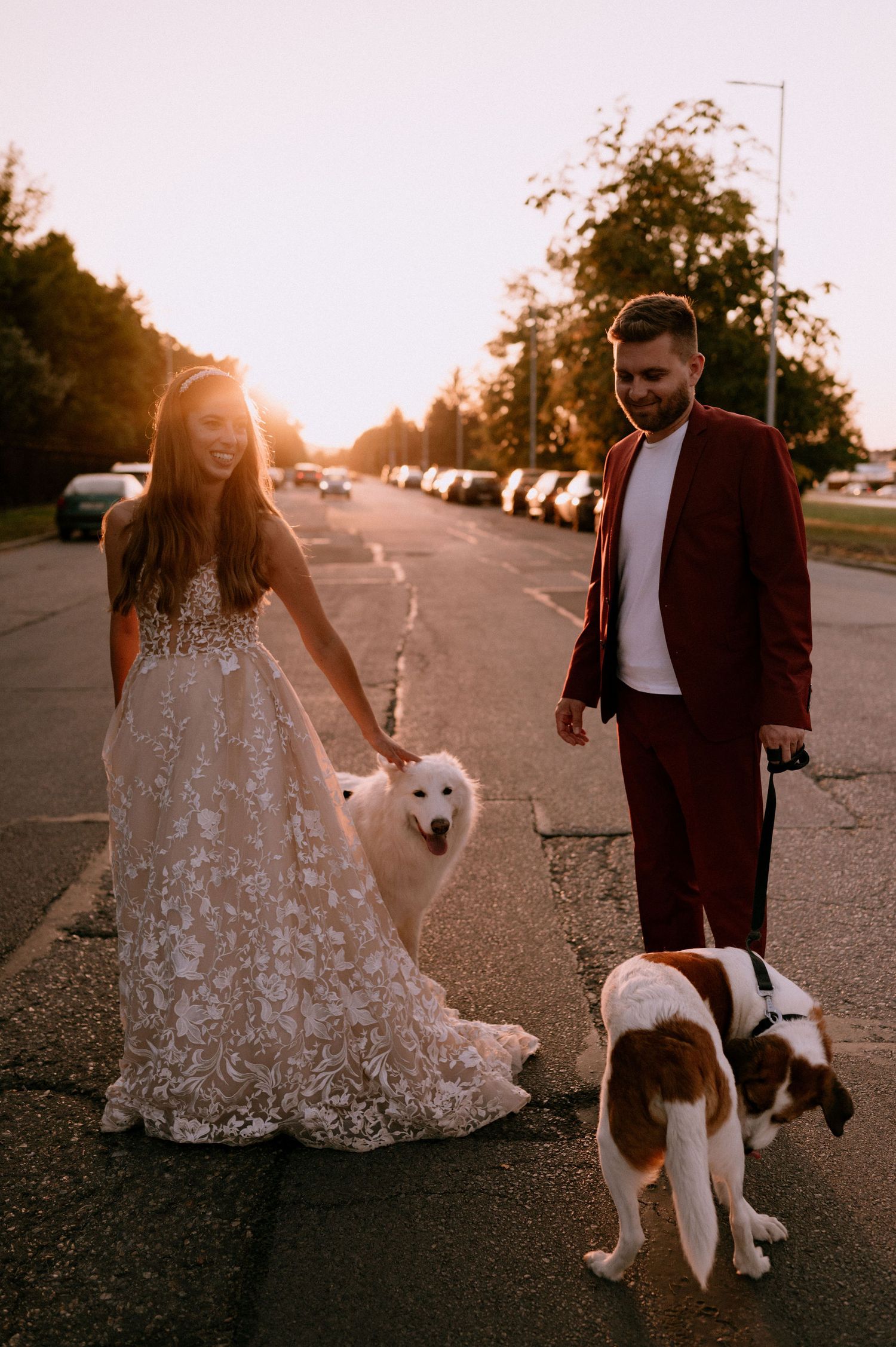 Couple poses with their white dogs on a street during golden hour sunset.