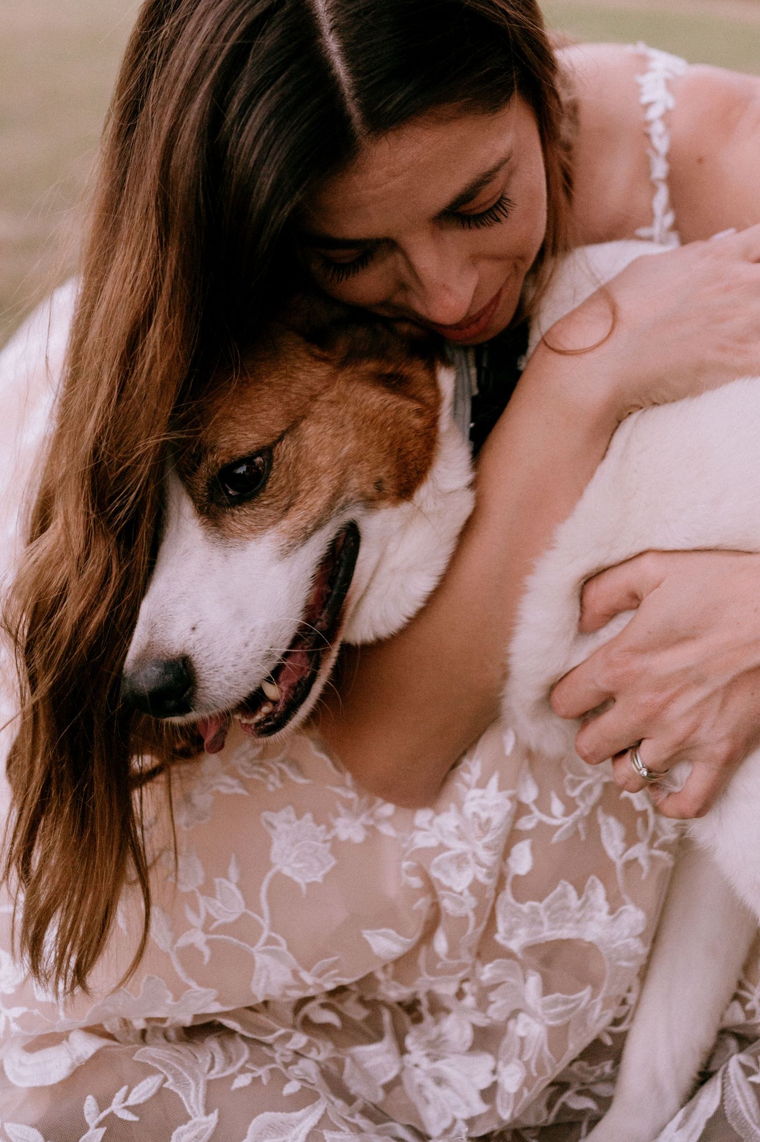 Sweet moment between a bride in lace dress and her white dog during a photo session.