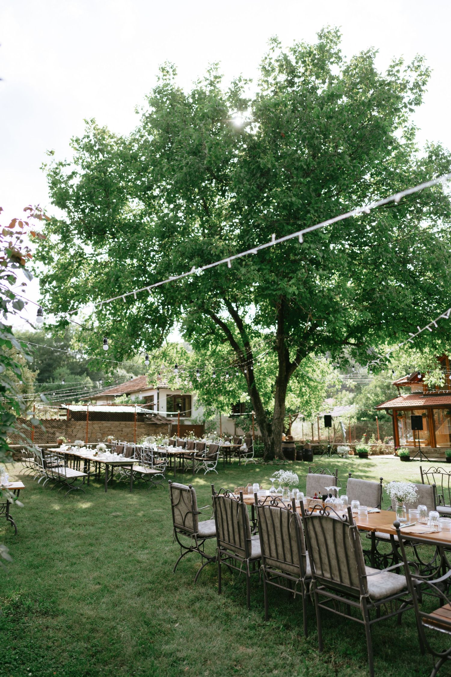Garden wedding reception area with rows of tables and chairs under large trees and string lights.