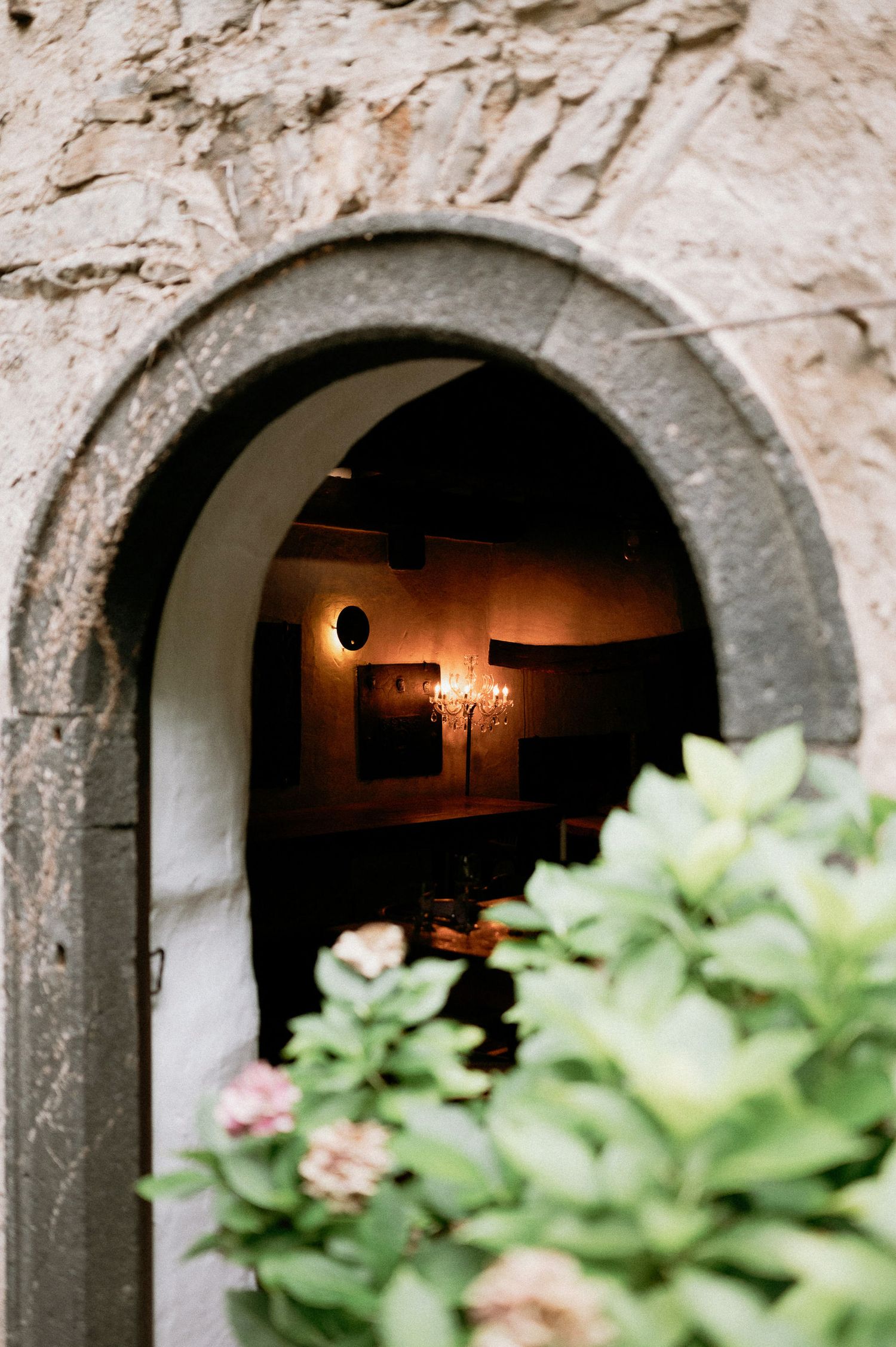 Stone archway entrance illuminated by warm candlelight with green plants in the foreground.