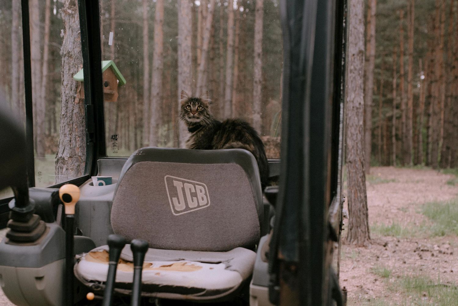 JCB construction equipment parked in a forested area.