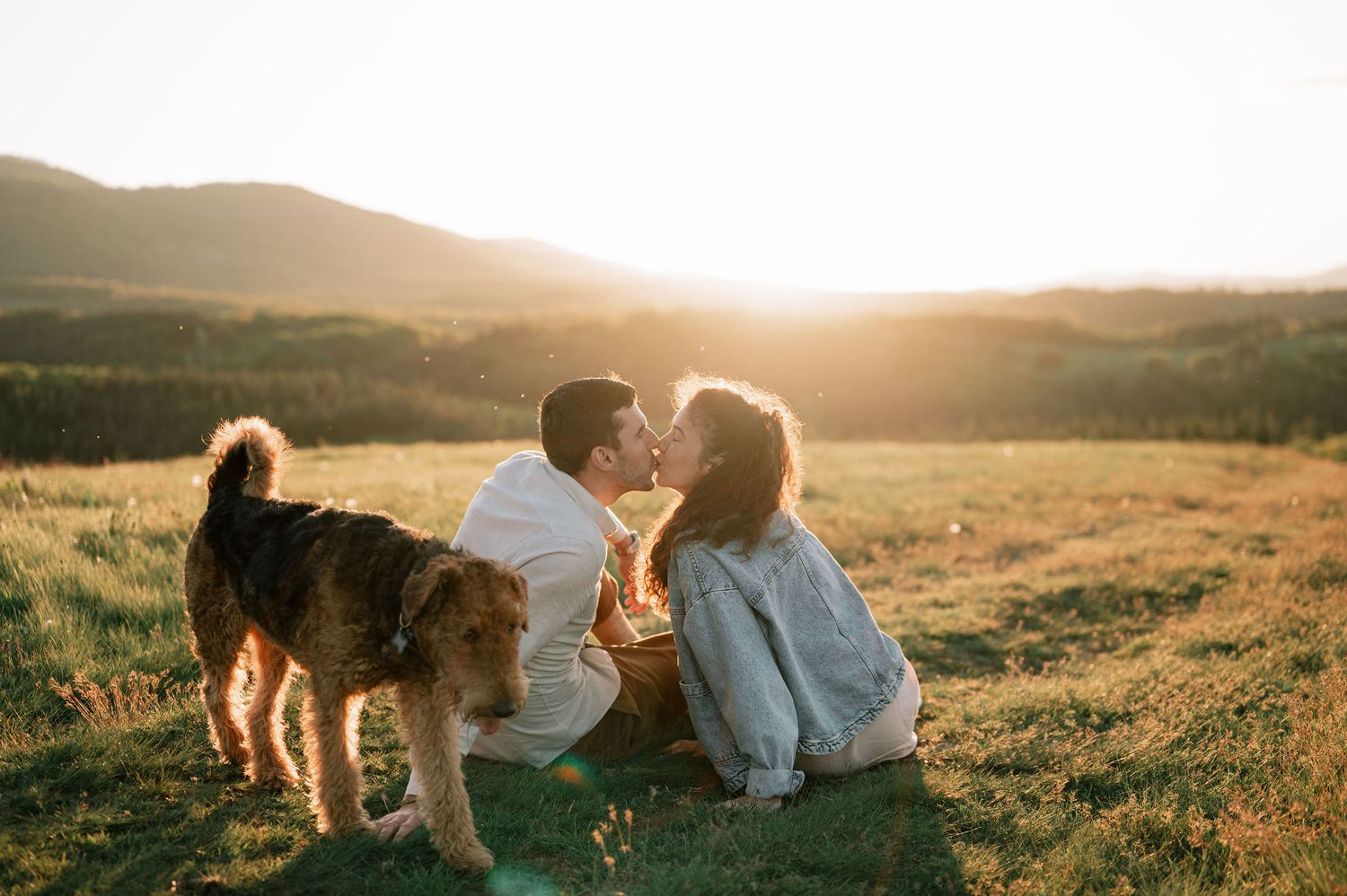 A couple and their dog enjoy a romantic sunset moment in a golden field during a summer evening.