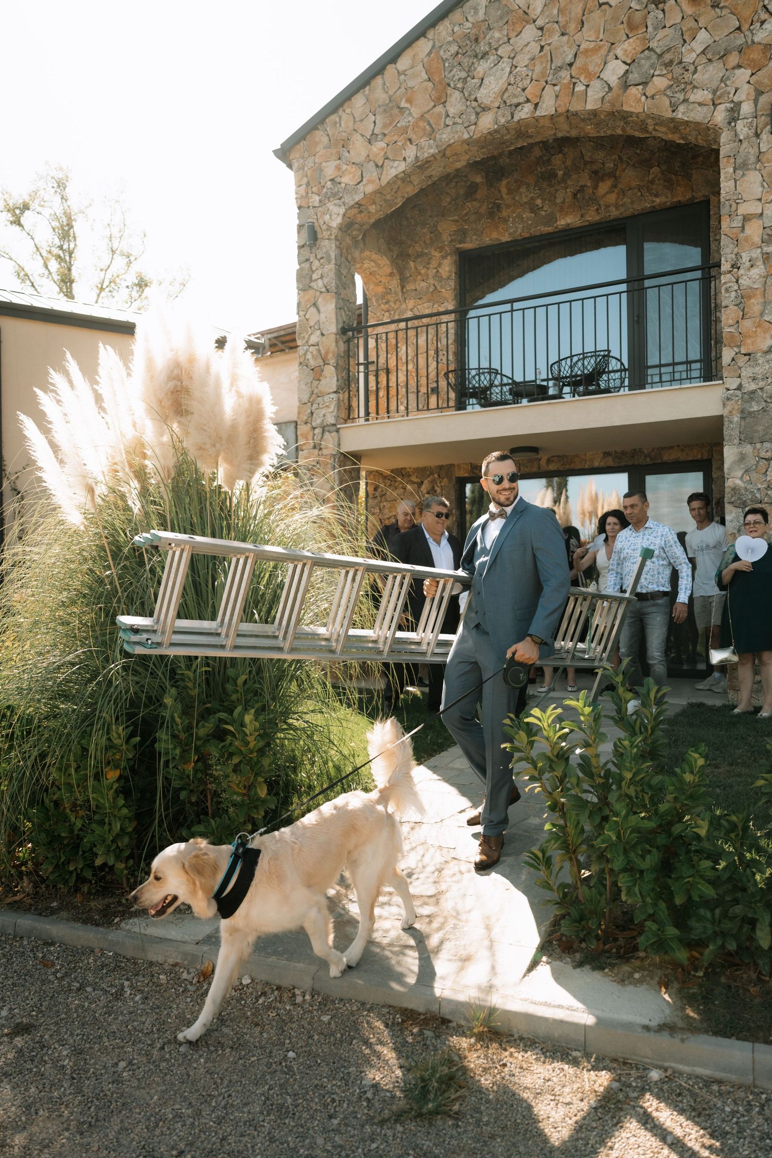 A dog in a wedding dress runs playfully through a stone patio area during a sunny outdoor celebration.