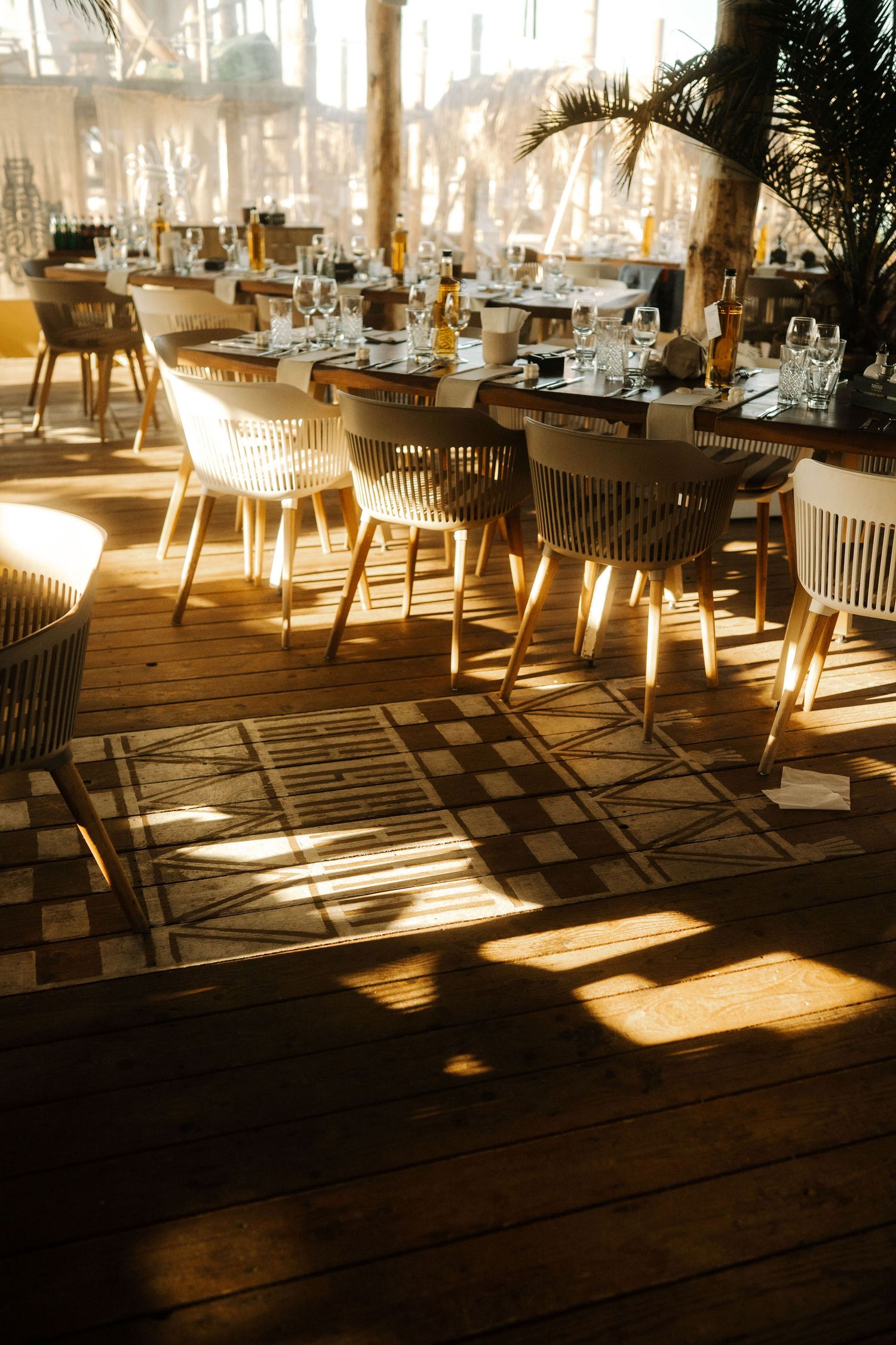 Sunlit restaurant interior with wooden floors and rattan chairs casting dramatic shadows in warm afternoon light.