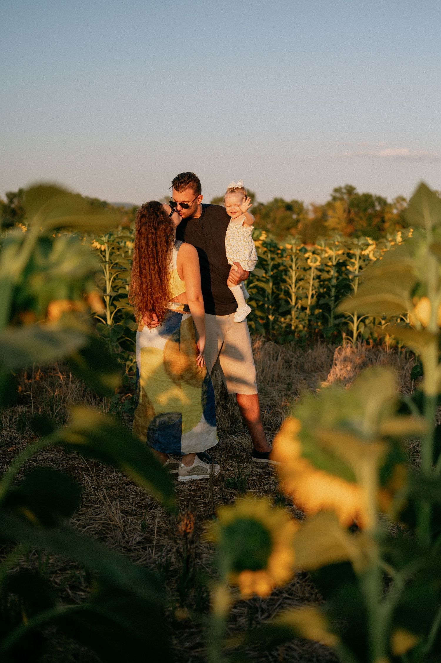 Family of three enjoying golden hour in a sunflower field, parents holding toddler while standing among tall green plants.
