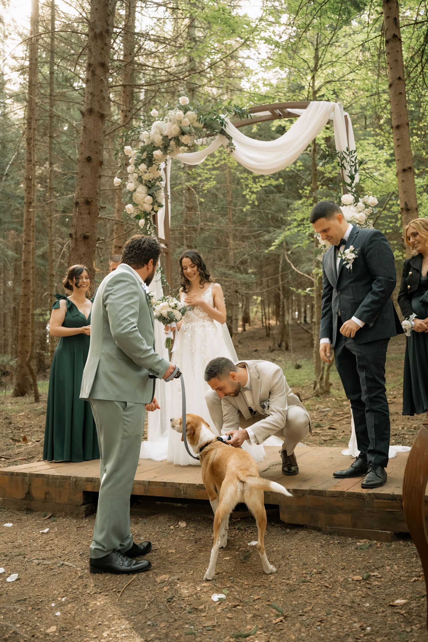 Outdoor forest wedding ceremony with bride, groom, officiant, and a dog on a wooden platform adorned with floral arch.