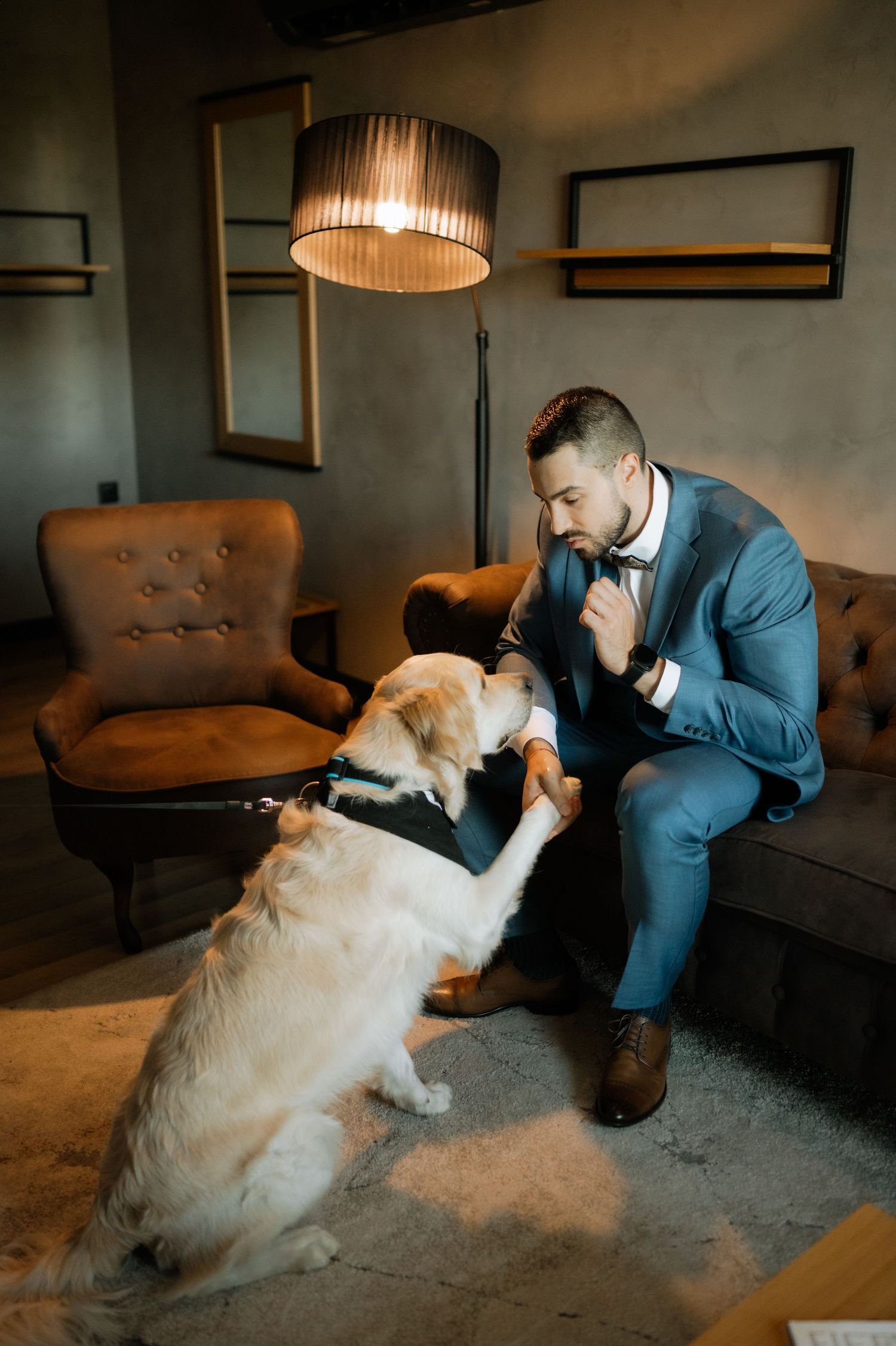 A person in a blue suit interacts playfully with a fluffy golden retriever dog in a dimly lit room.