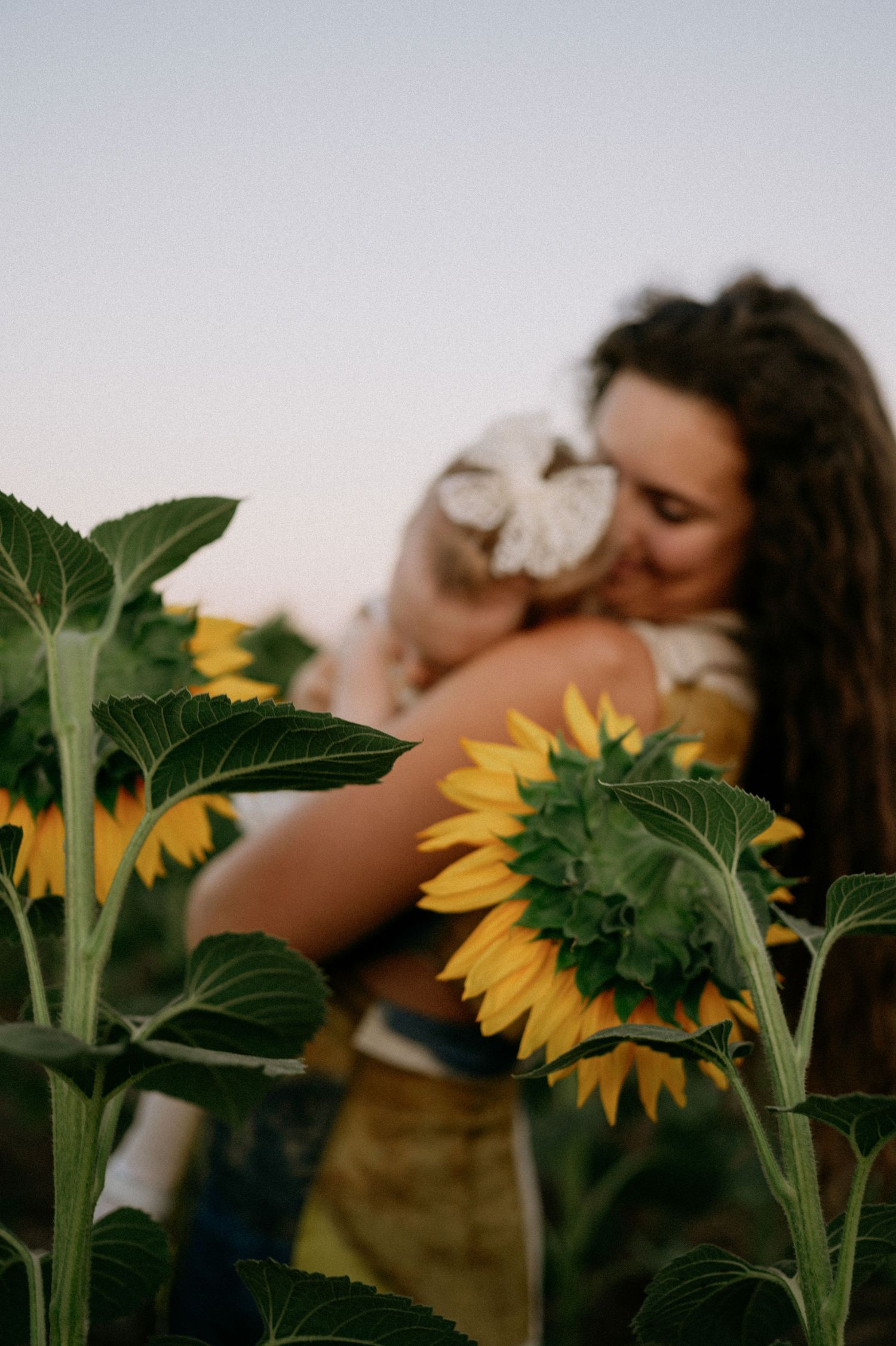 A mother tenderly embraces her young child in a vibrant sunflower field at dusk.