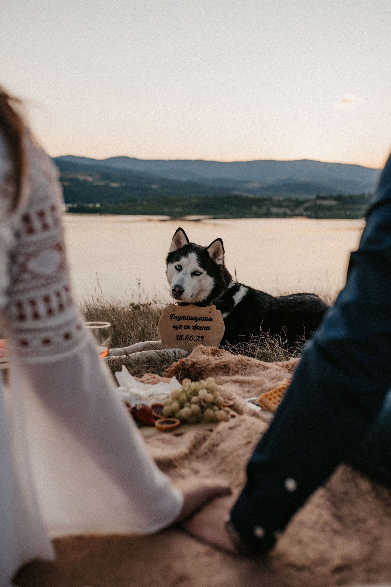 A husky dog peeks into frame during a romantic picnic setup by a lake at sunset.