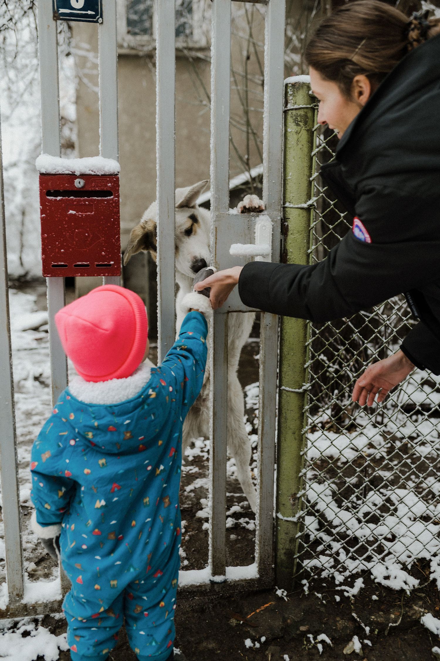 A child in blue polka dot pajamas explores a snowy garden fence while wearing a pink winter hat.