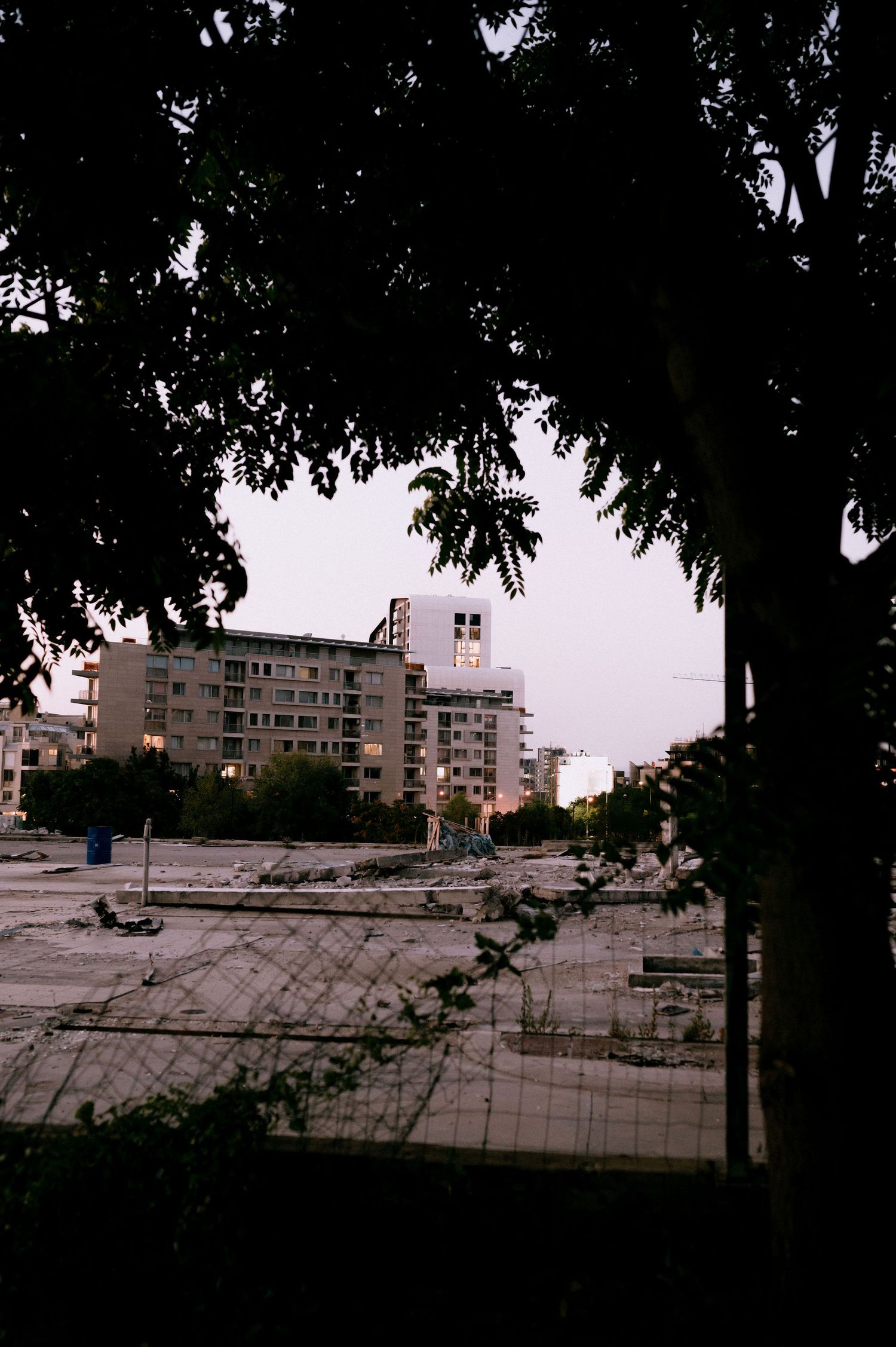 Urban landscape with apartment buildings viewed through tree branches at dusk.