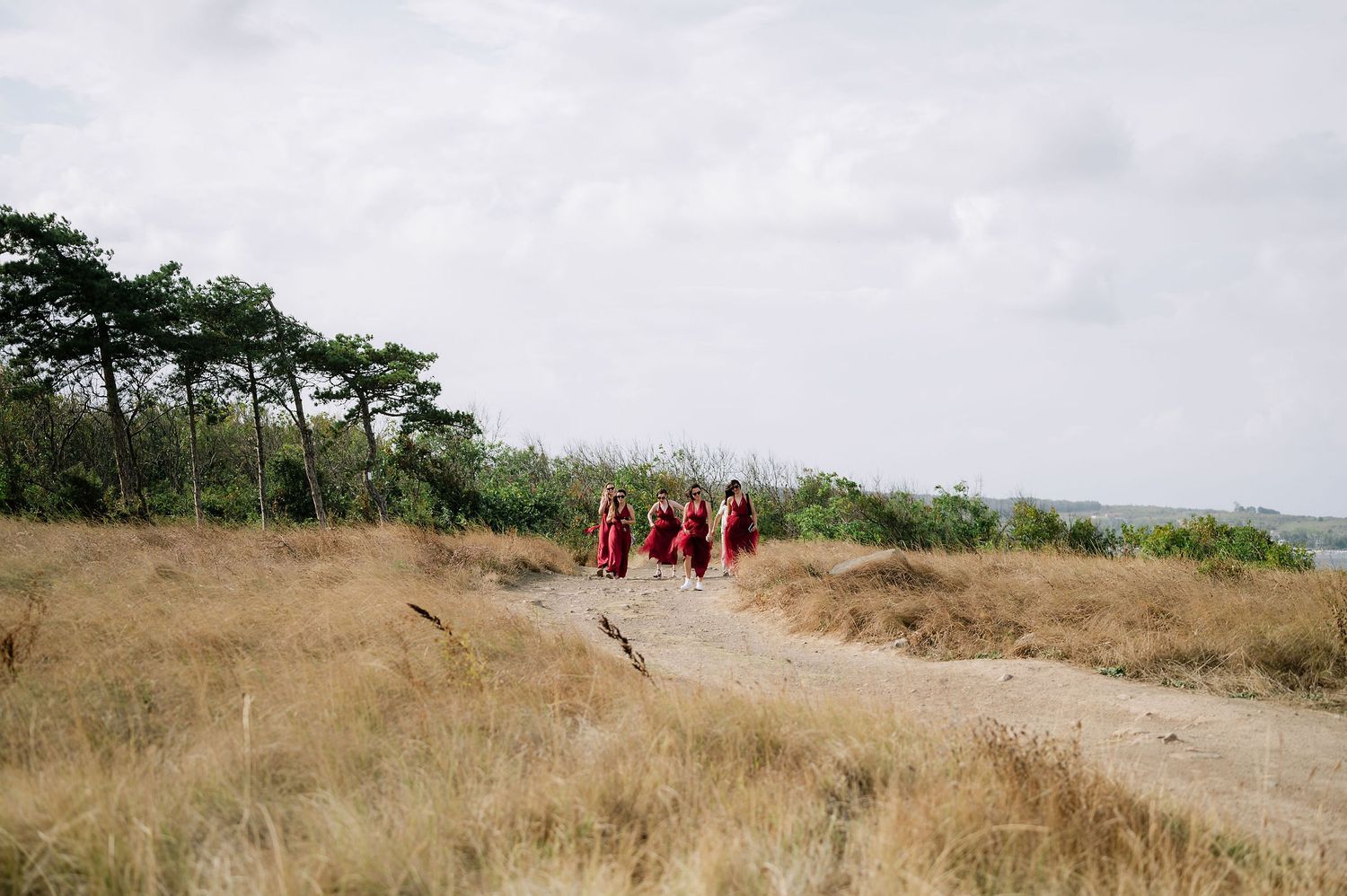 Distant view of people in red attire walking along a path through golden grass and pine trees.