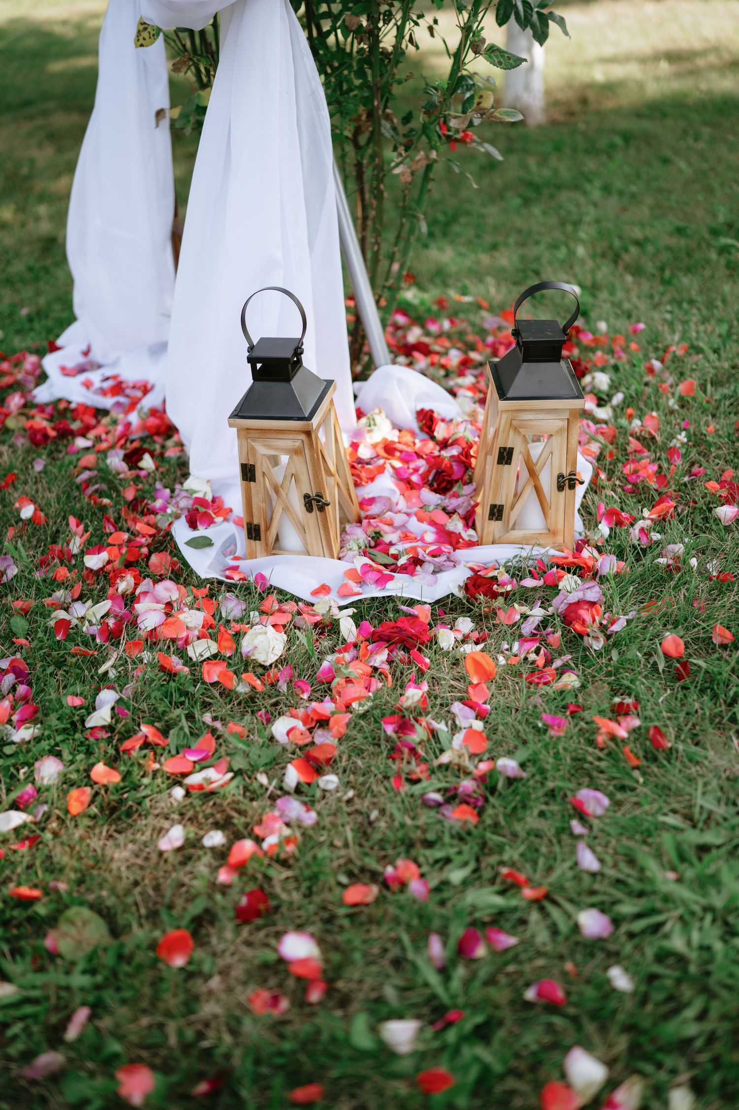 Rustic lanterns and white fabric decorations surrounded by scattered rose petals on grass.