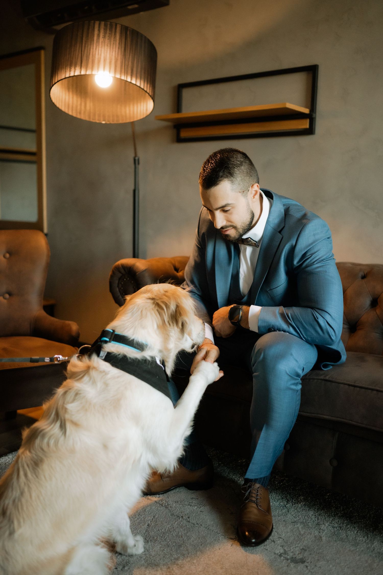 A person in a blue suit sits on a couch and pets a fluffy white dog in a warmly lit room.