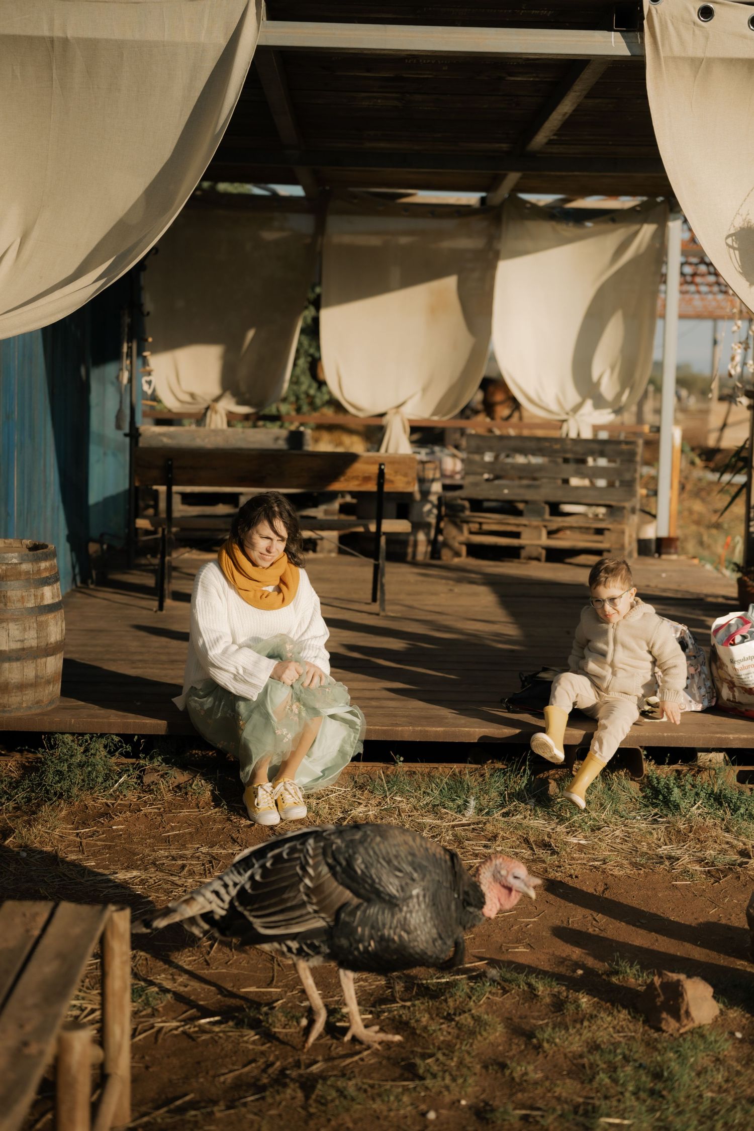 A sequence of photos shows children crouching down to interact with a large turkey in a rustic outdoor setting.