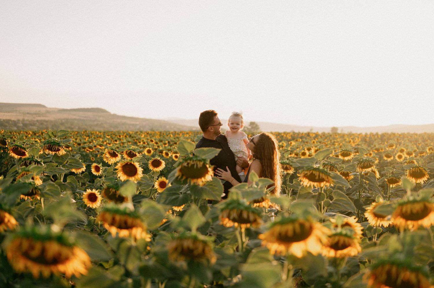 Family of three joyfully playing in a vast sunflower field at golden hour, parents lifting baby amid blooming yellow flowers.