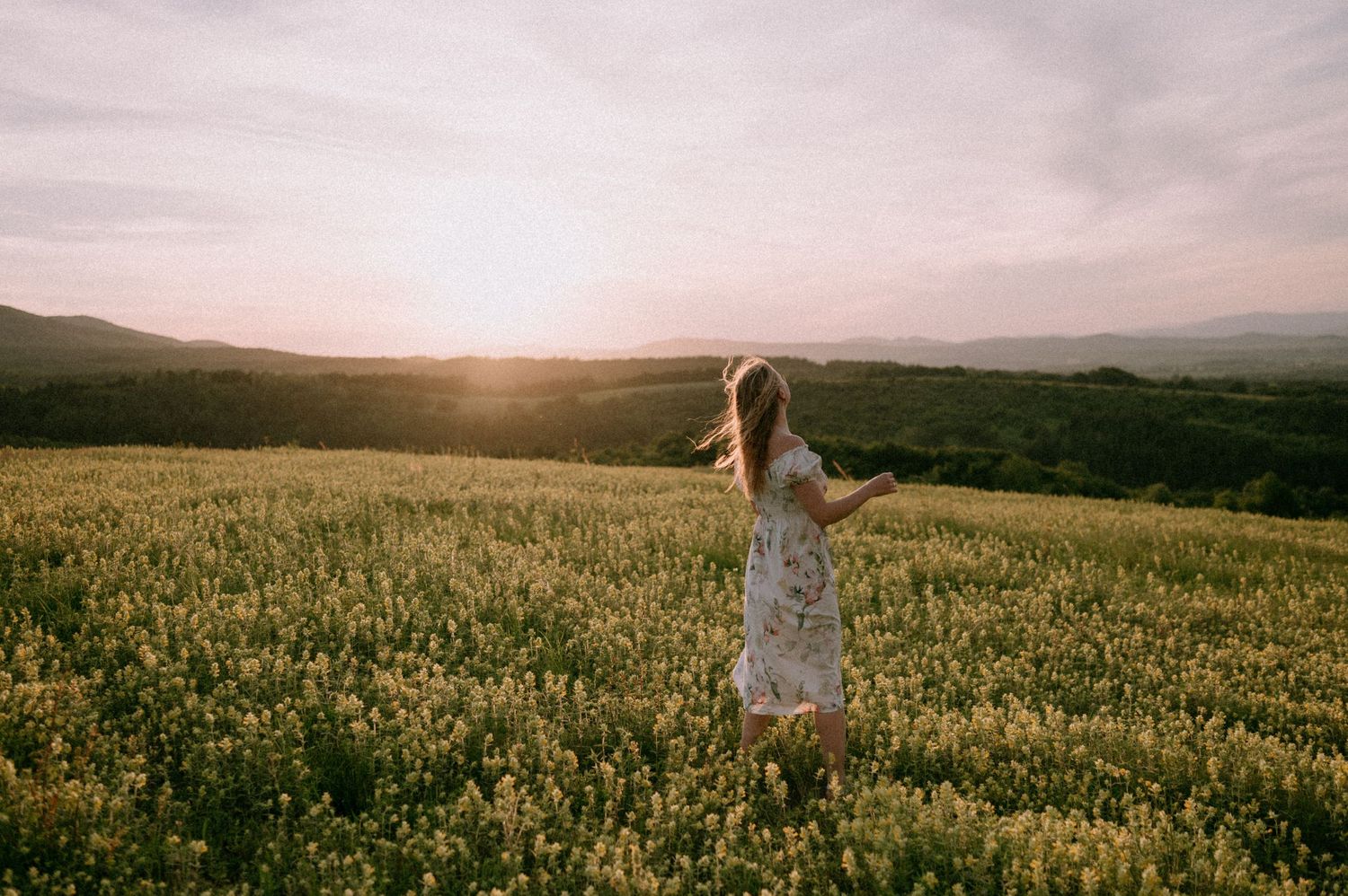 Wide landscape shot of a figure moving through golden canola fields.