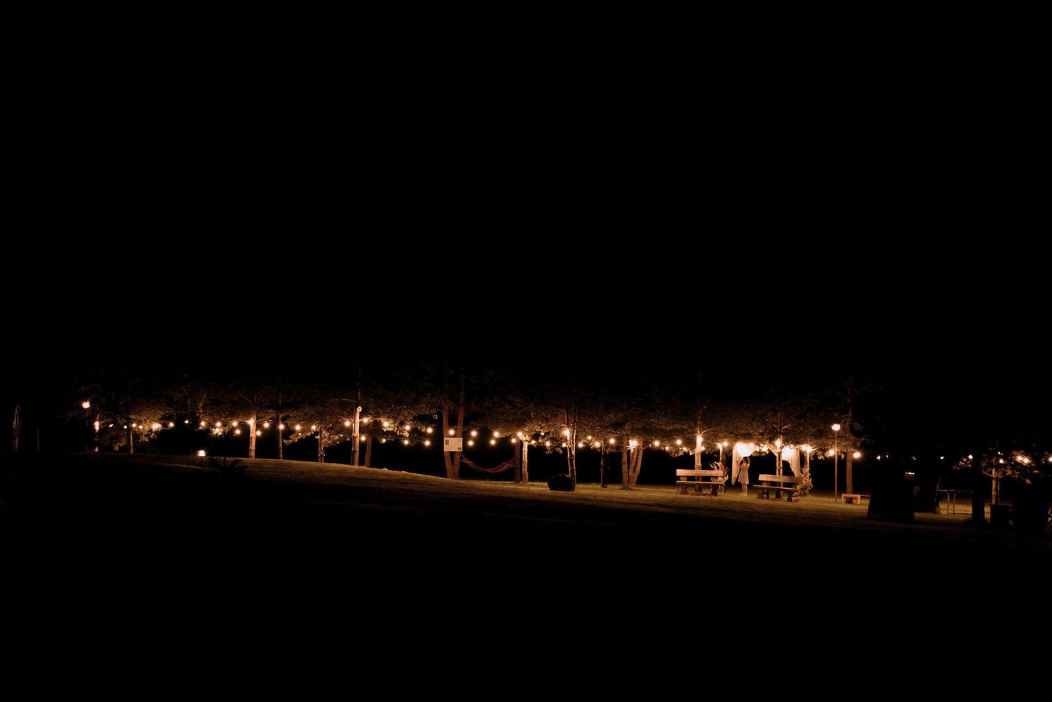 String lights create a magical pathway through darkness at an outdoor venue.