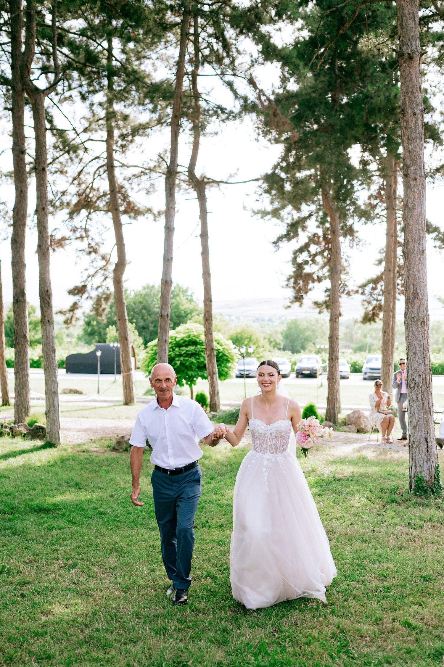 Wedding party walks through a pine forest setting on a sunny afternoon.