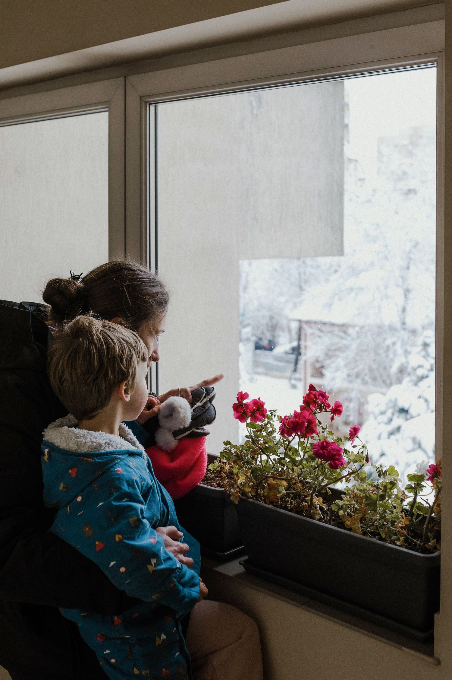 Two people looking out a window at a snowy scene with red flowers in a window box planter.