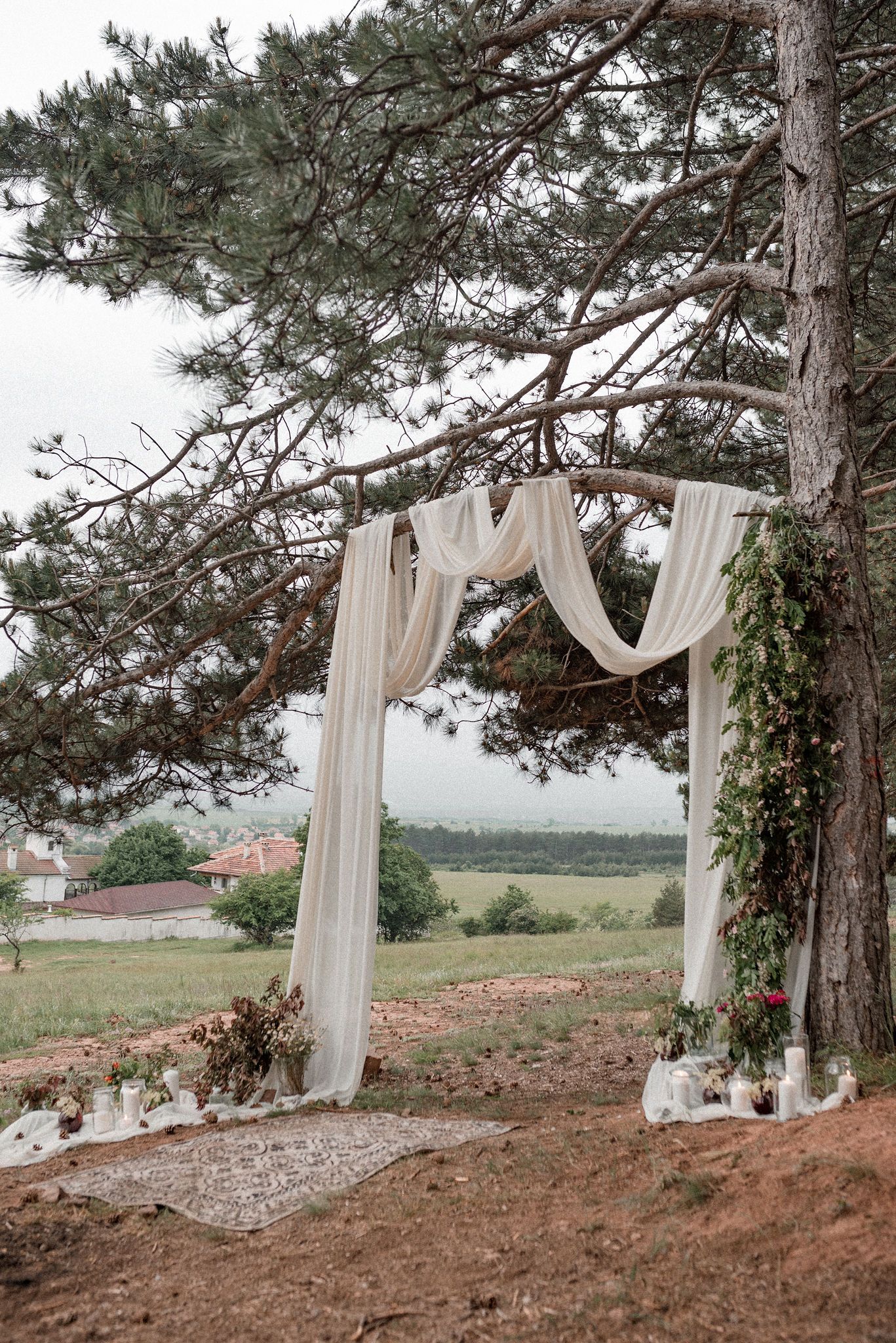 White fabric drapes elegantly between pine trees creating a romantic outdoor wedding ceremony backdrop in a rustic setting.