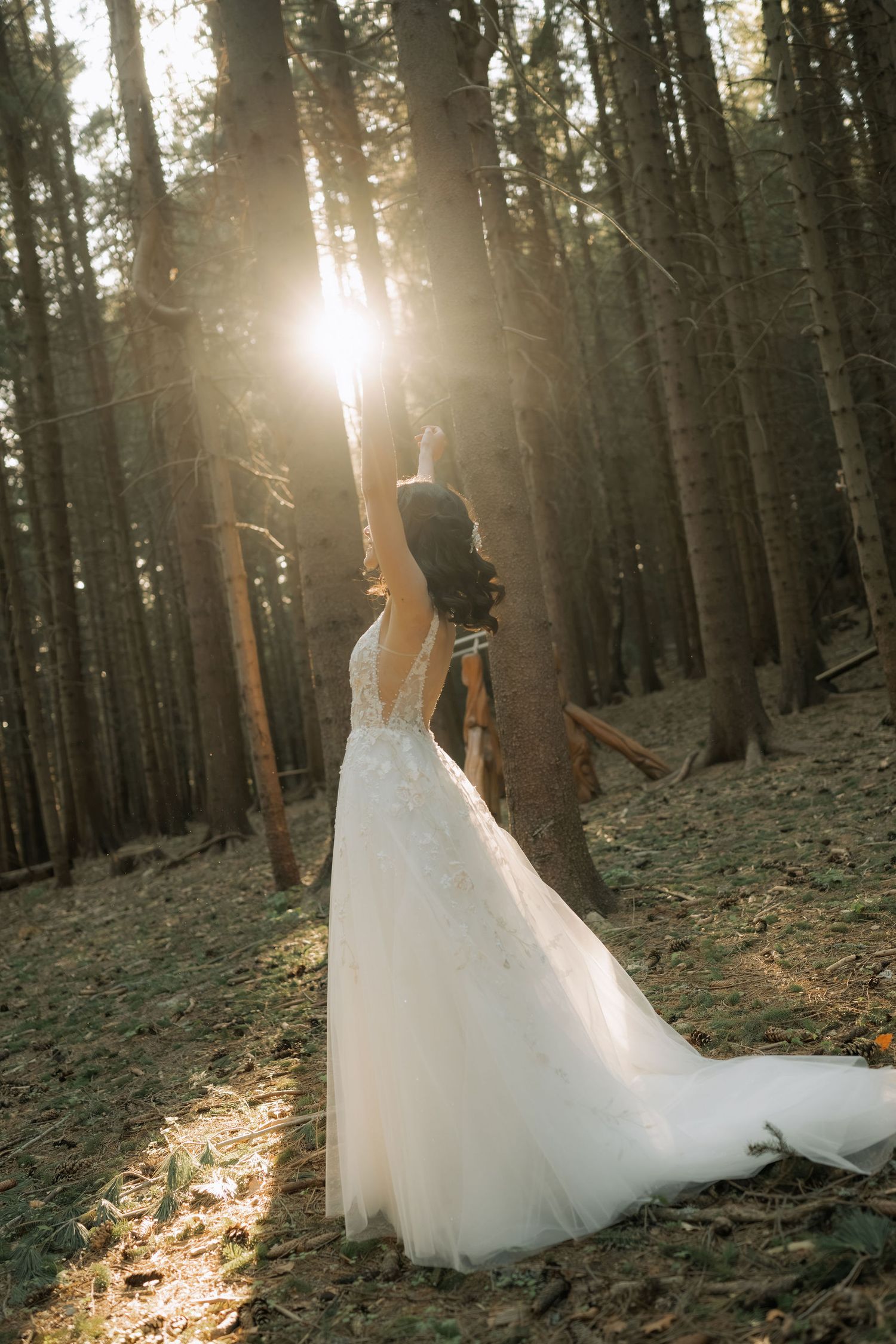 Bride in white lace gown stands in sunlit forest with arm raised toward golden light streaming through tall pine trees.