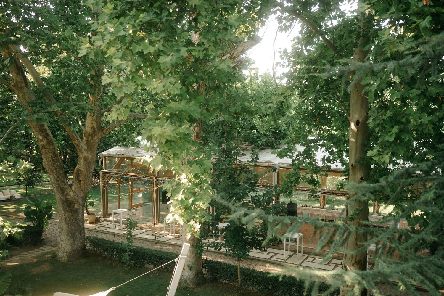 Lush green trees line a tranquil pathway through a peaceful garden setting with stone walls and natural landscaping.