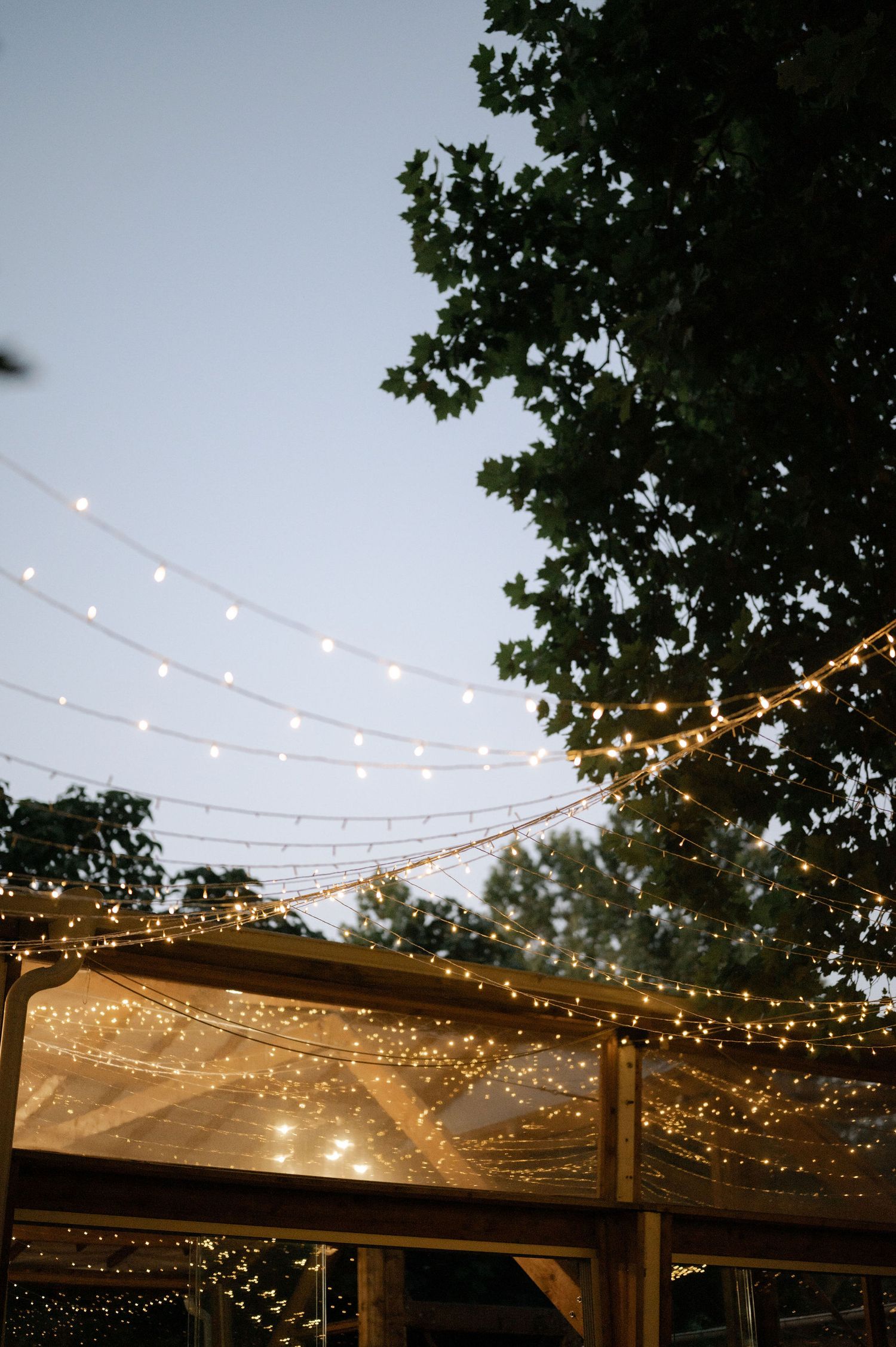 String lights create a magical canopy over an outdoor pergola at dusk with tree silhouettes in the background.
