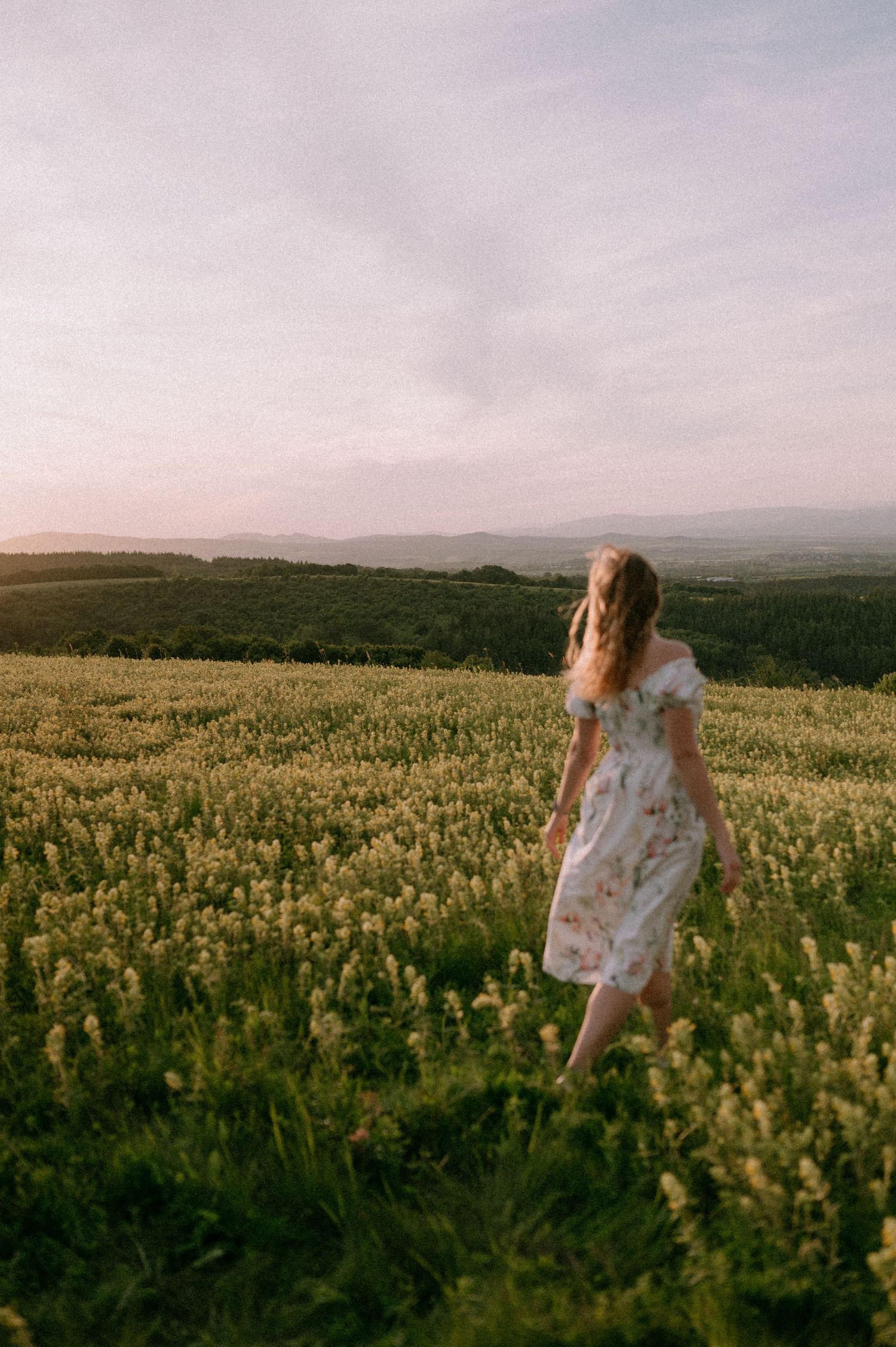 A person in a floral dress walks through a vast field of wildflowers at dusk.