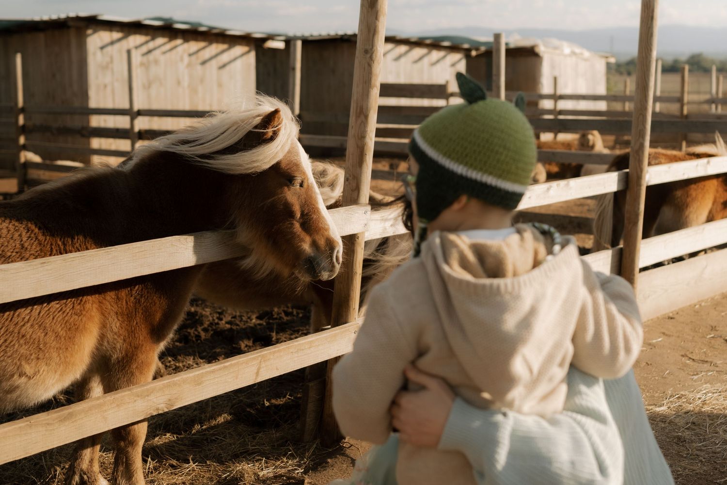 Someone in a green hat and light colored jacket reaches out to pet a brown horse in a wooden stable.