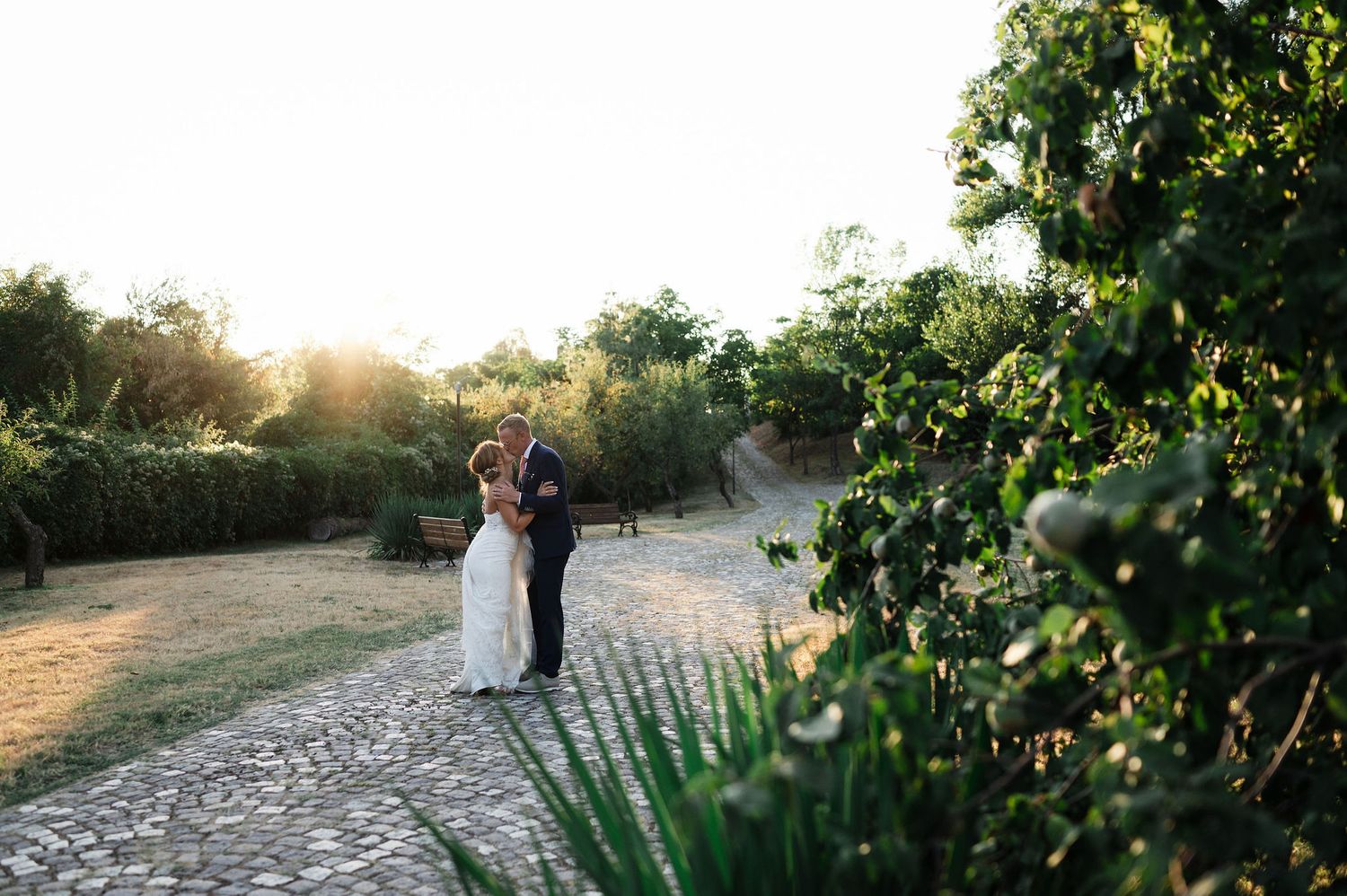 Wedding couple photographed from afar on a winding garden path during sunset.