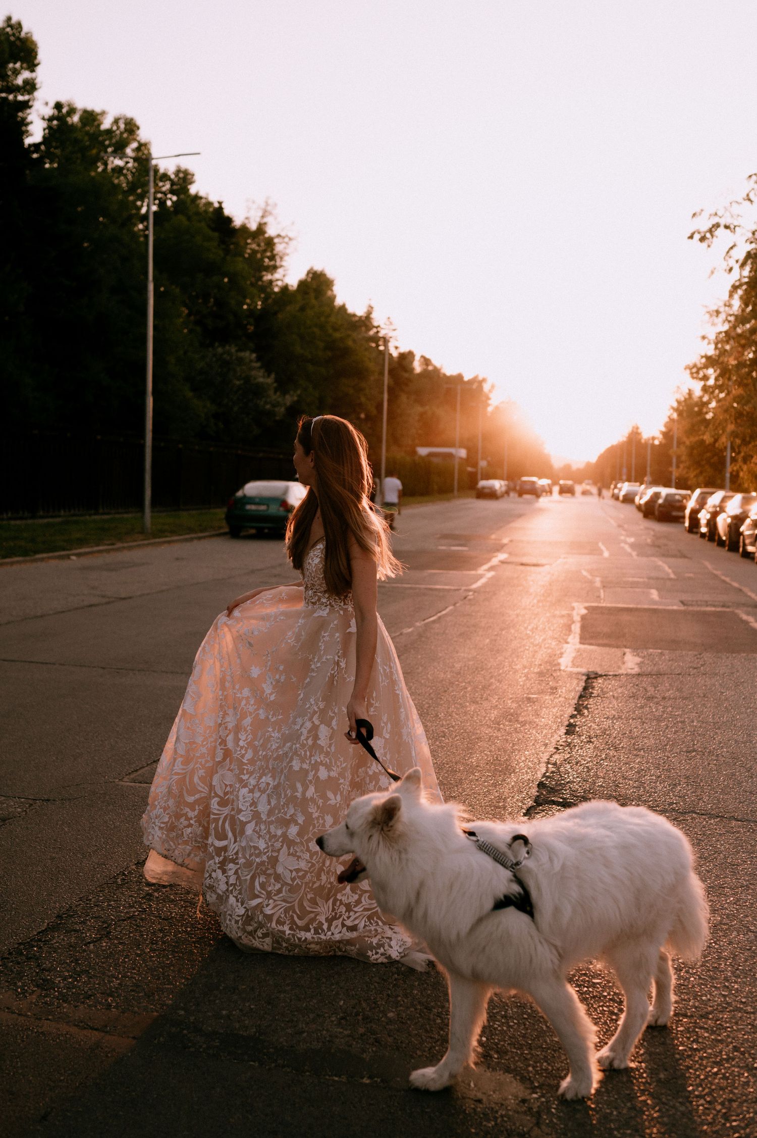 A person in a lace dress sits on a street at sunset with a white dog, creating a dreamy golden-hour scene.