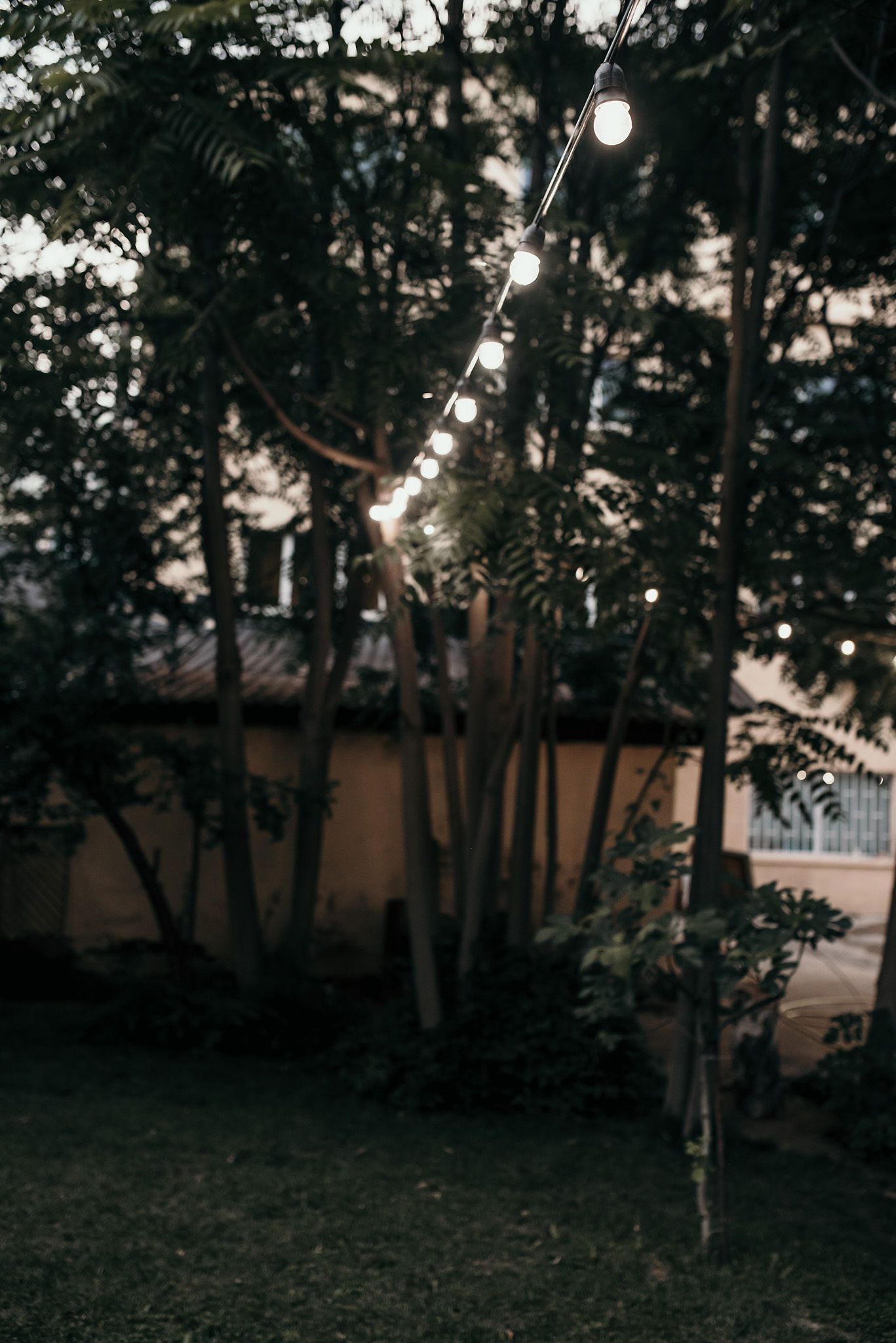 String lights illuminate a wooded garden area at dusk creating a magical outdoor atmosphere.