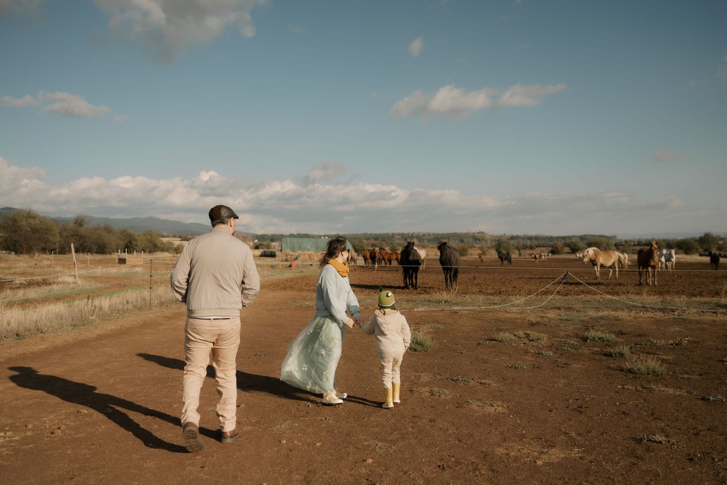 People stand on a dirt path watching a herd of wild horses grazing in a dusty field during sunset.