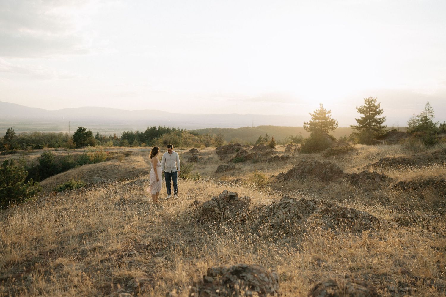 A series of panoramic landscape photos showing rolling hills and grasslands during golden hour.